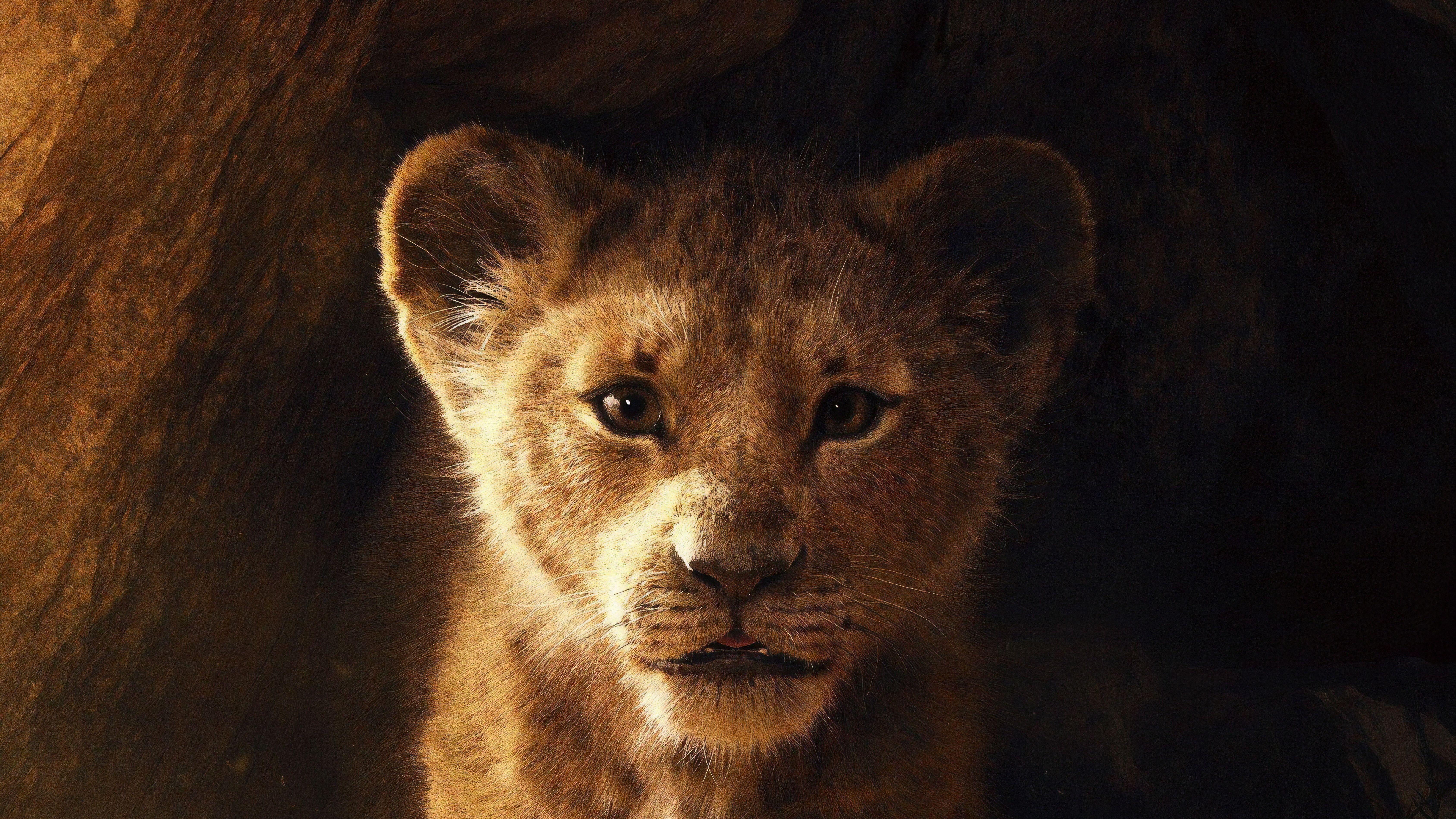 6752x3798 The Lion King HD Movies, 4k Wallpaper, Image, Background