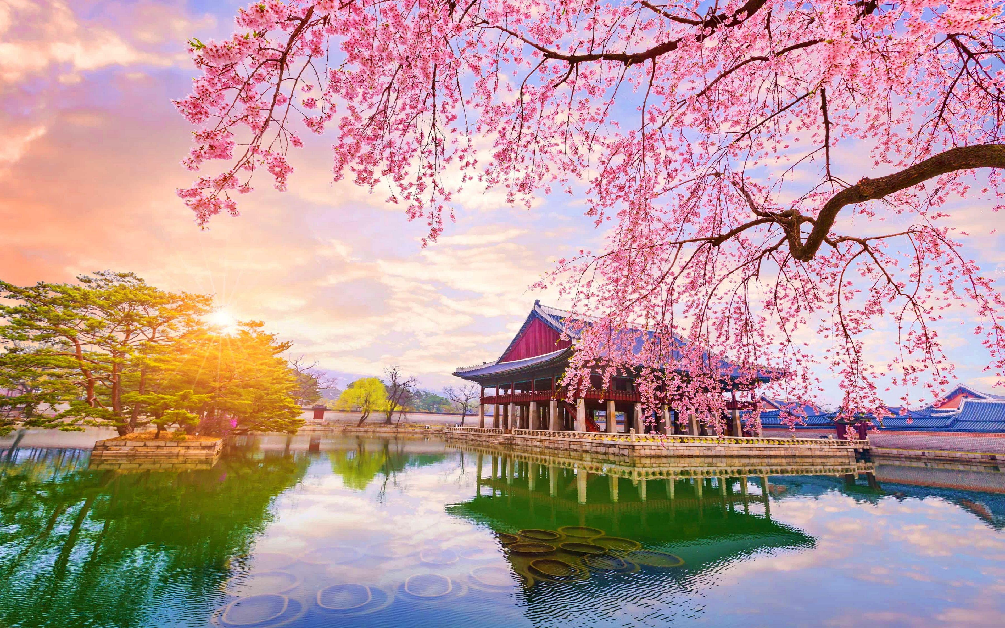 3840x2400 Spring in South Korea