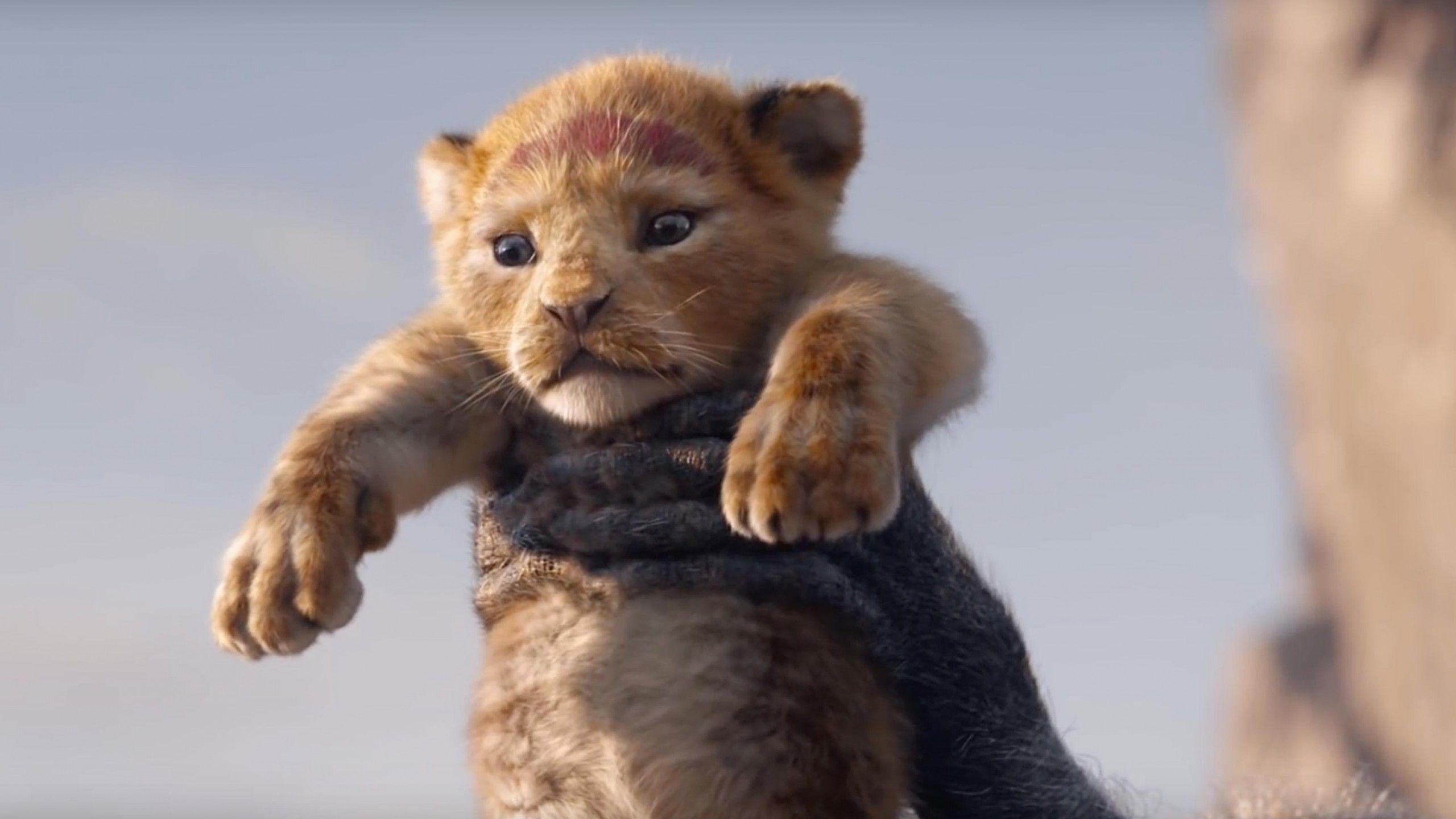 2560x1440 Wallpaper Lion King