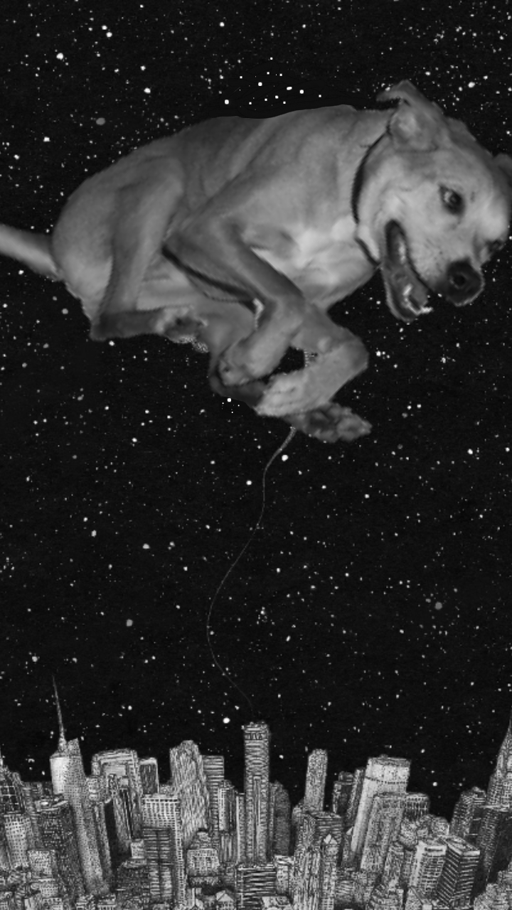 720x1280 made a raditude phone wallpaper :)