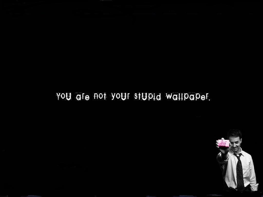 1024x768 Stupid Wallpaper