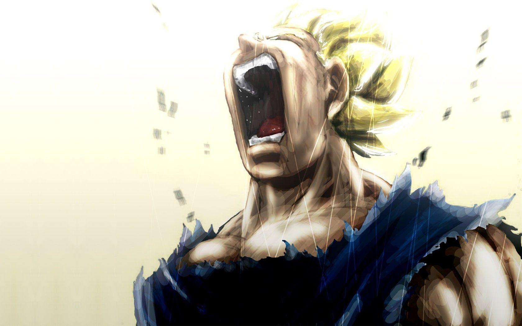 1680x1050 Dragon Ball Z Wallpaperx1050