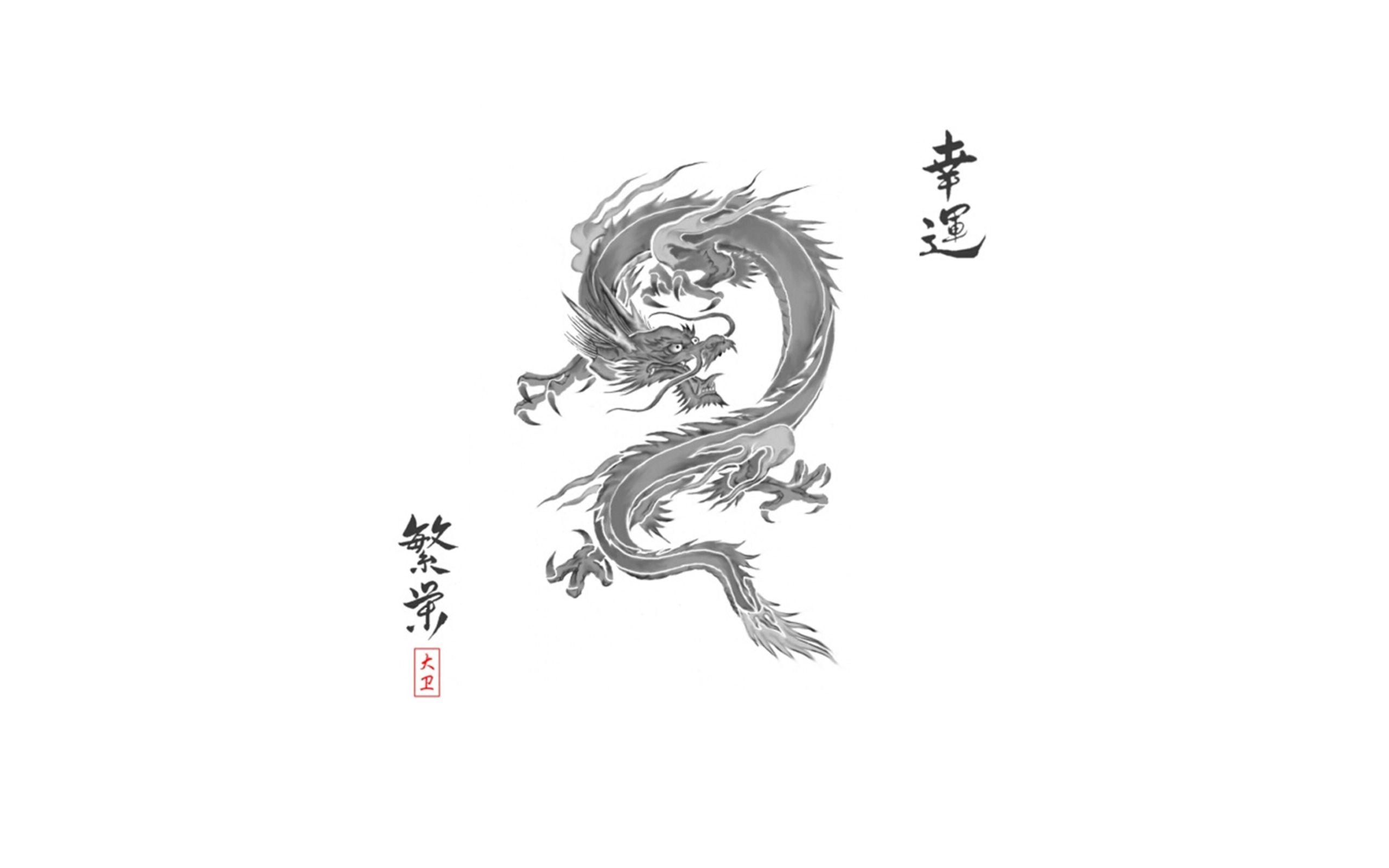 2560x1600 Asian Dragon Wallpaper