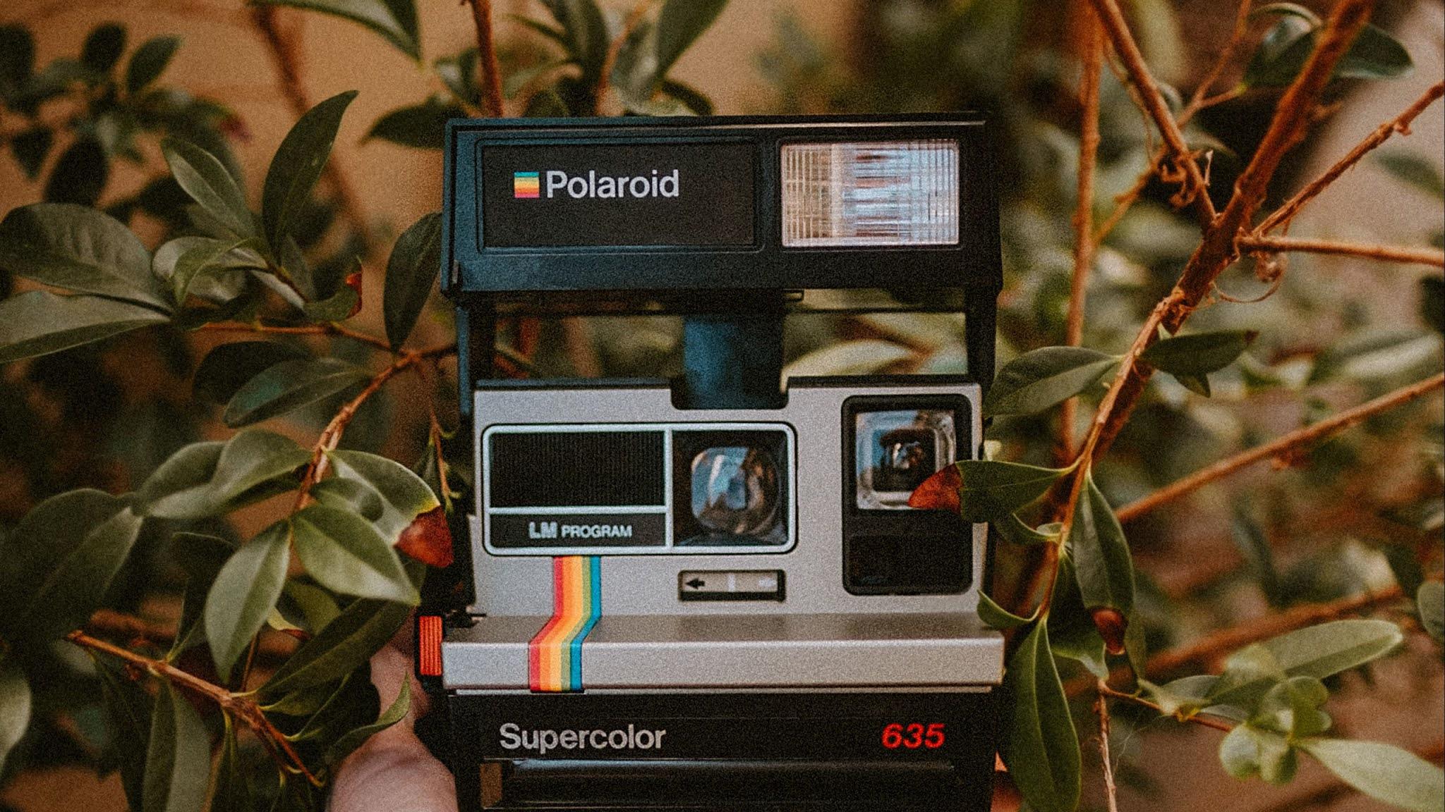 Polaroid Laptop Wallpapers - Top Free Polaroid Laptop Backgrounds