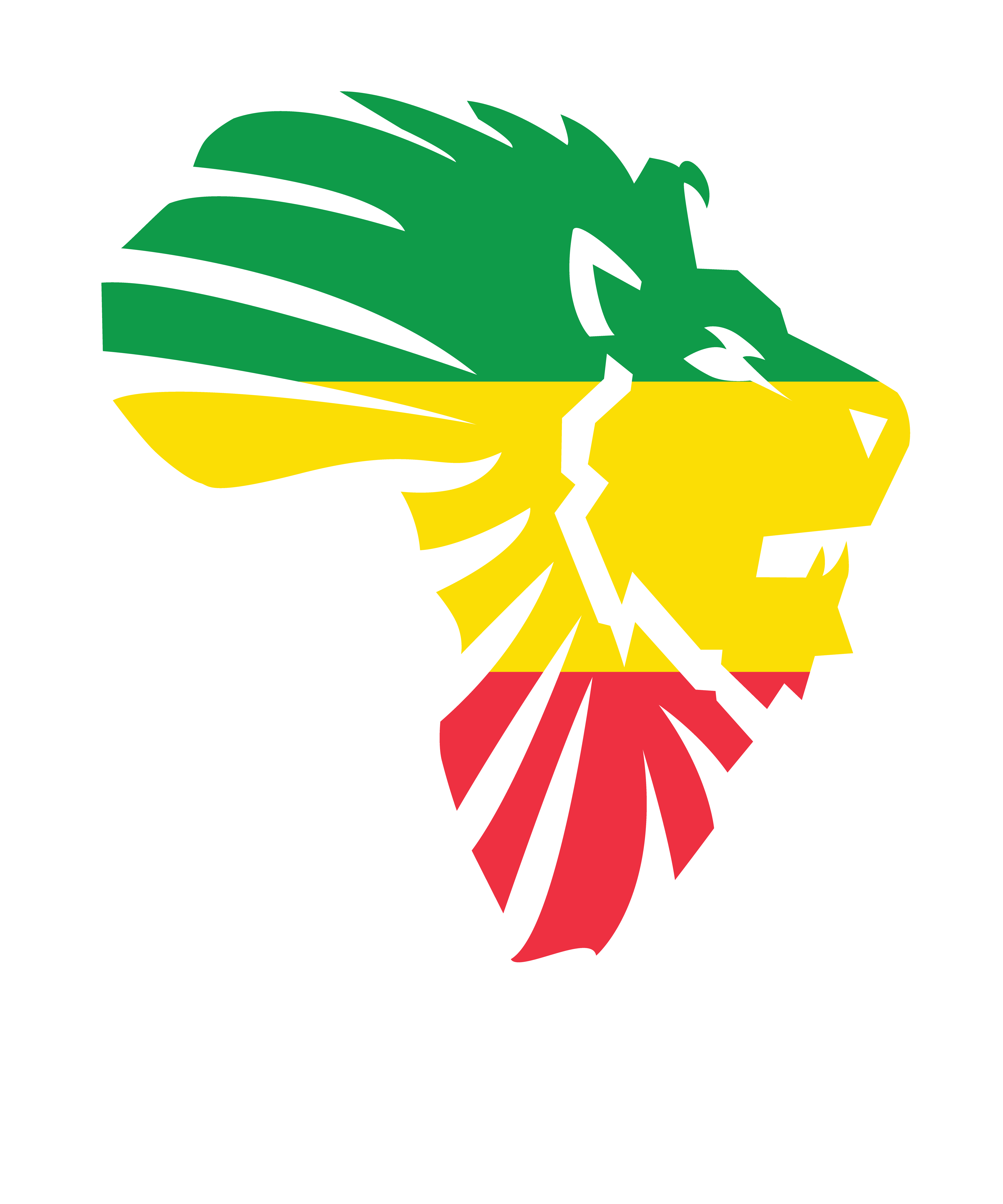 4500x5400 Reggae art, Rastafari art, Lion