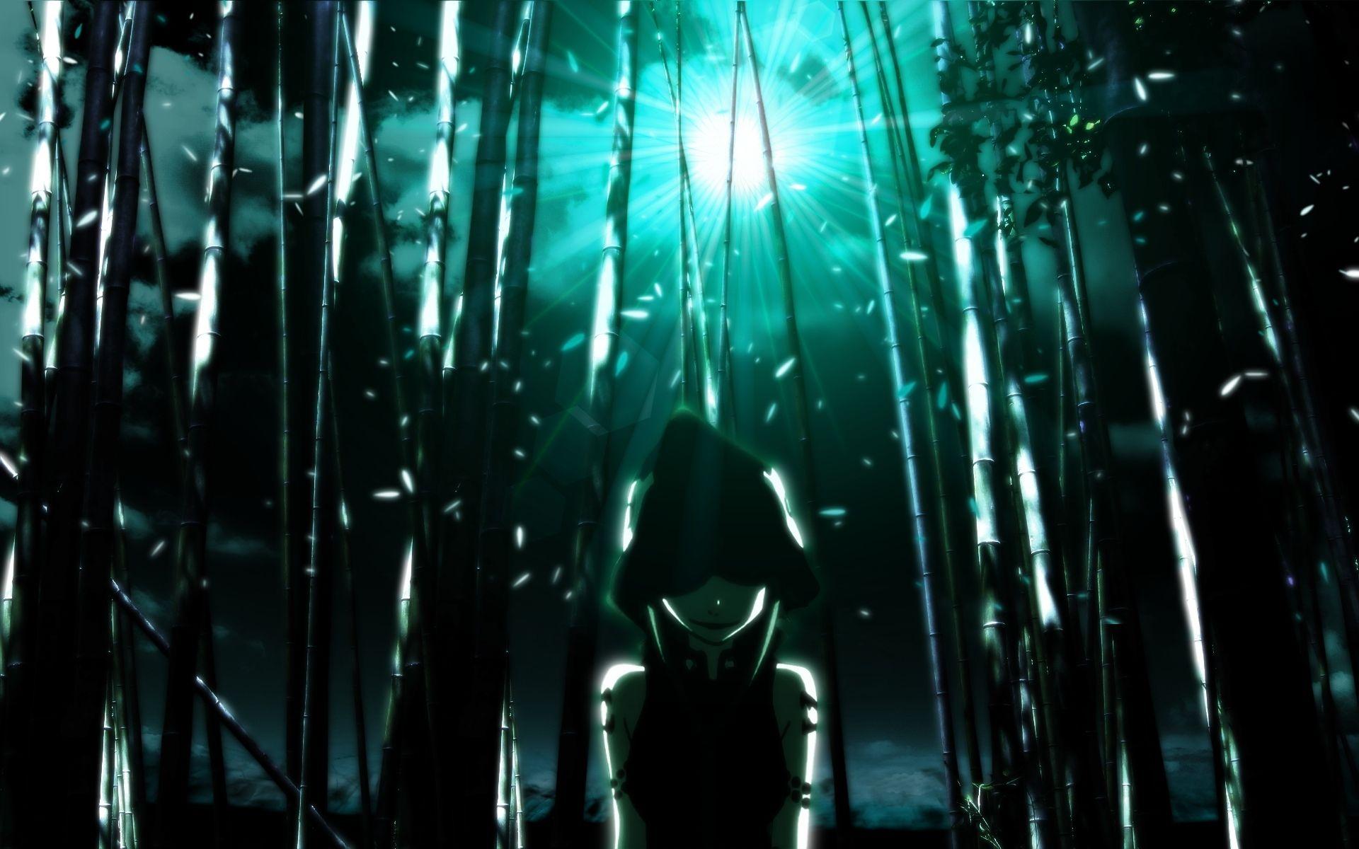 1920x1200 Sorcery, mangas, windows, bamboo, website, wallpaper