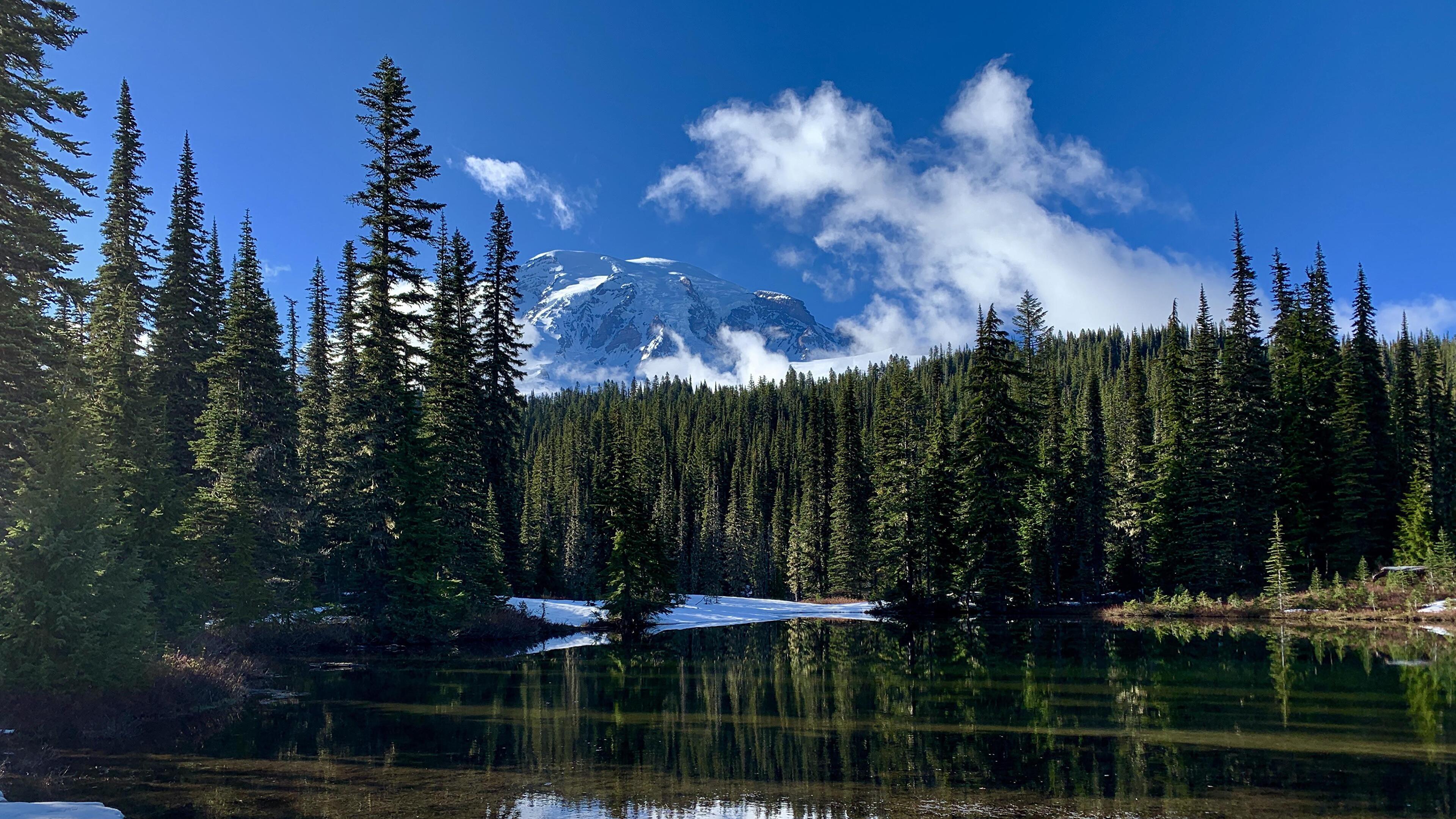 3840x2160 Lake and forest [3840 x 2160]