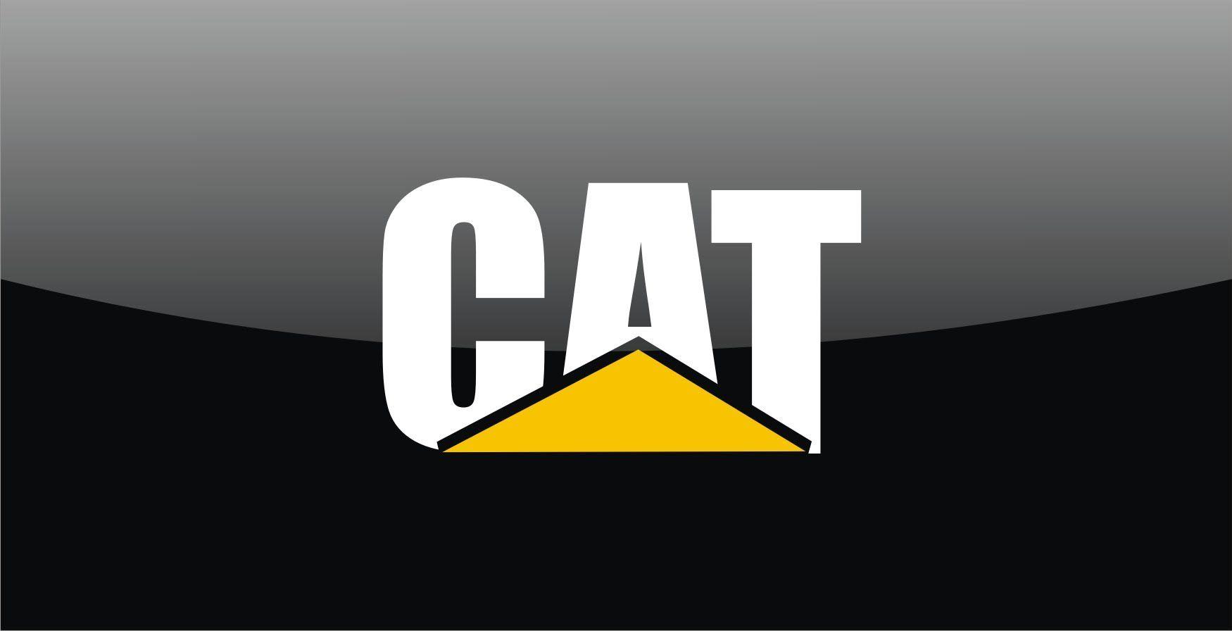 1750x896 Caterpillar Logo hình nền