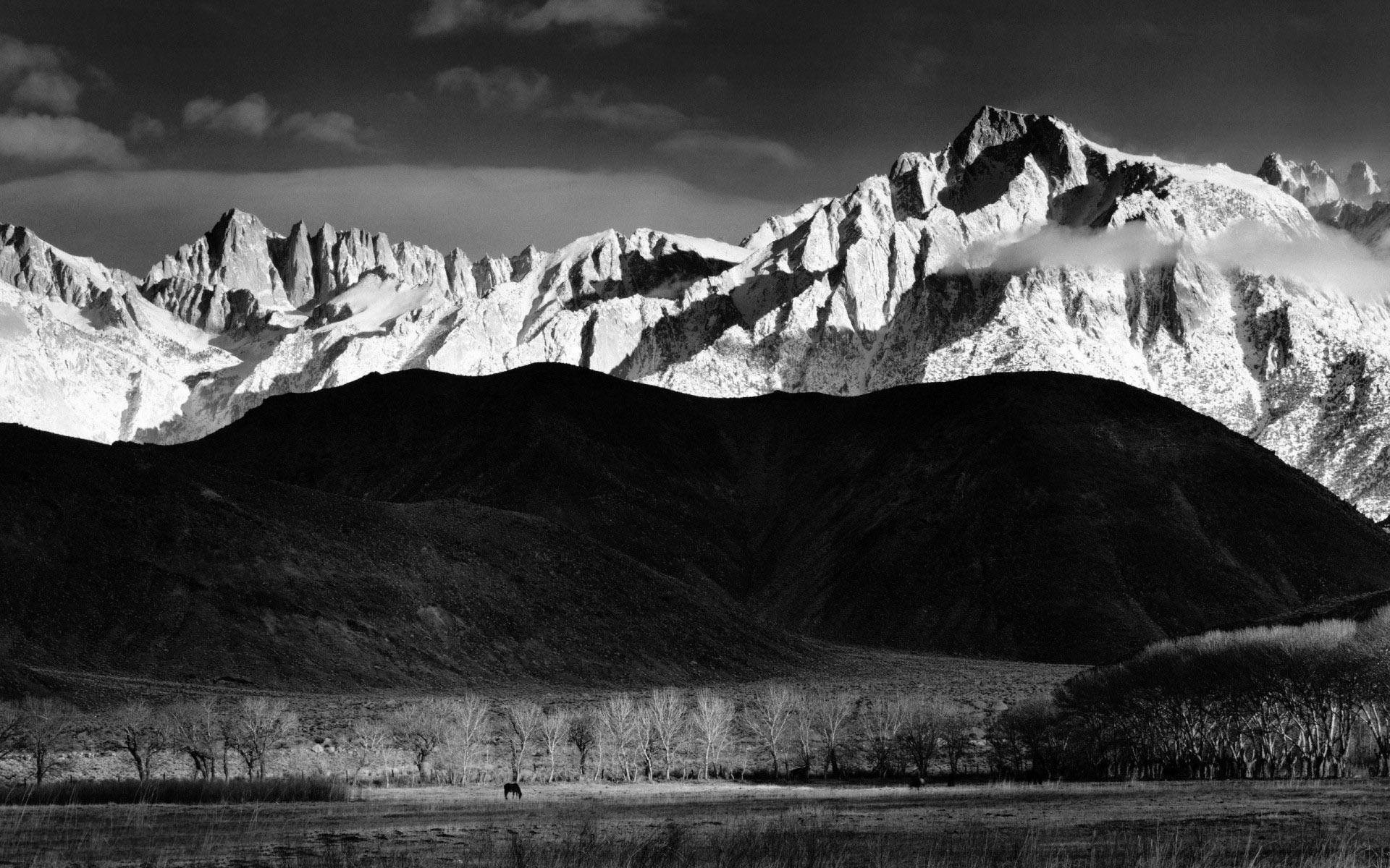 Black And White Mountain Landscape In The Alps France Stock Photo   Download Image Now  iStock