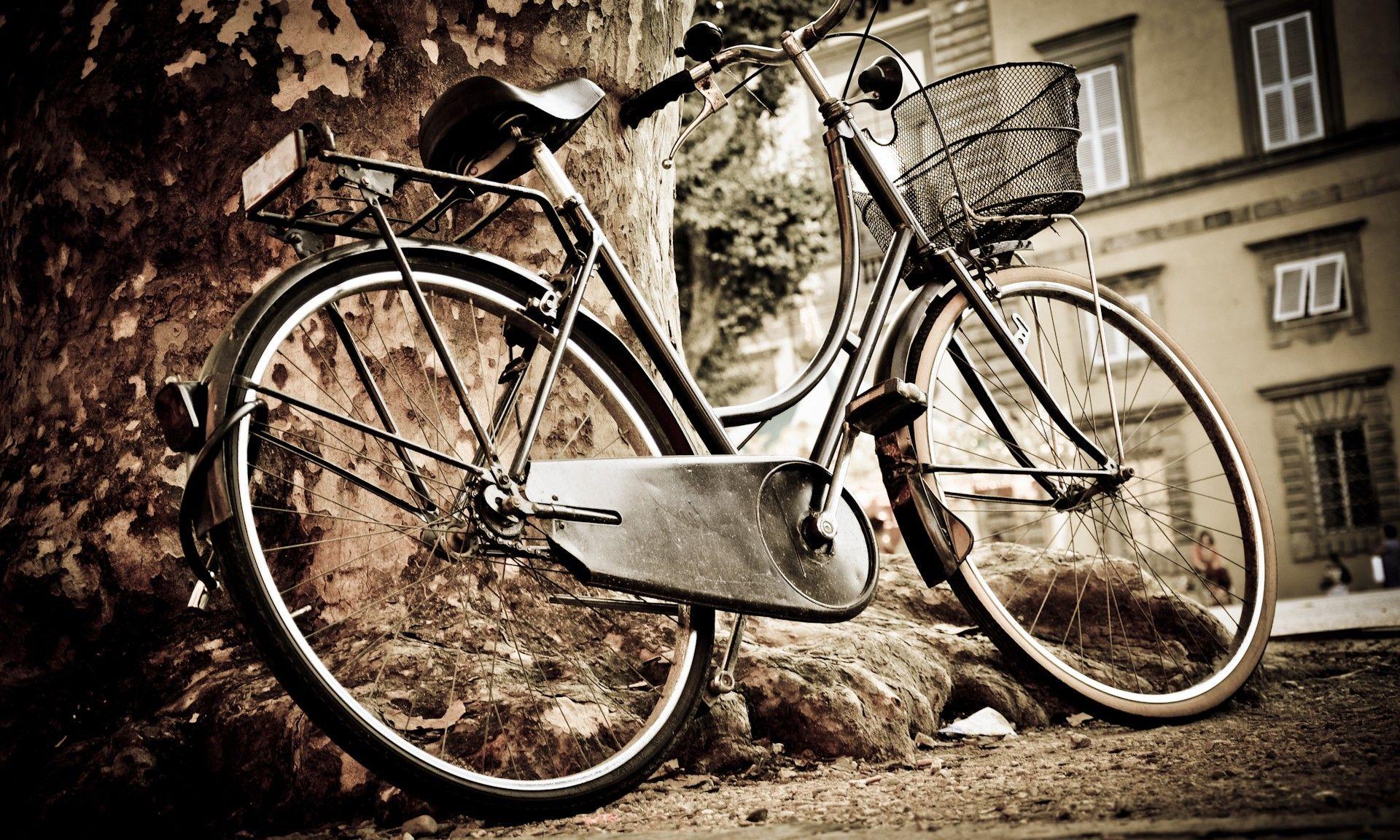 1920x1152 Free download Old Bicycle On The Tree Wallpaper Background