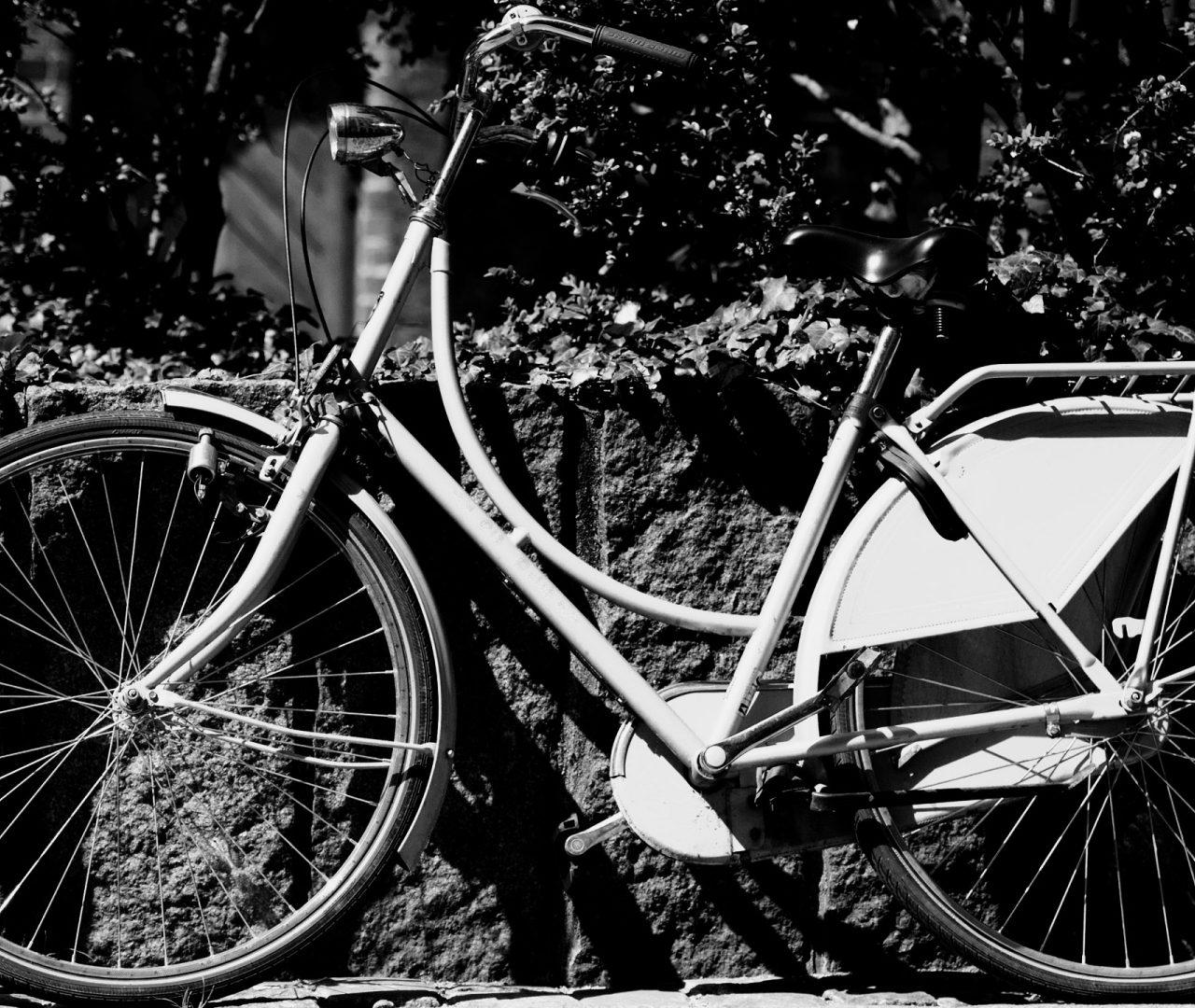 Old Bicycle Wallpapers Top Free Old Bicycle Backgrounds WallpaperAccess