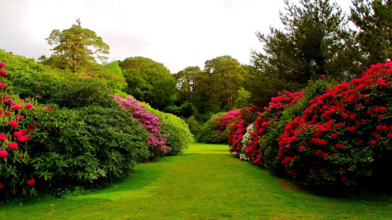 1280x720 Natural Garden Wallpaper