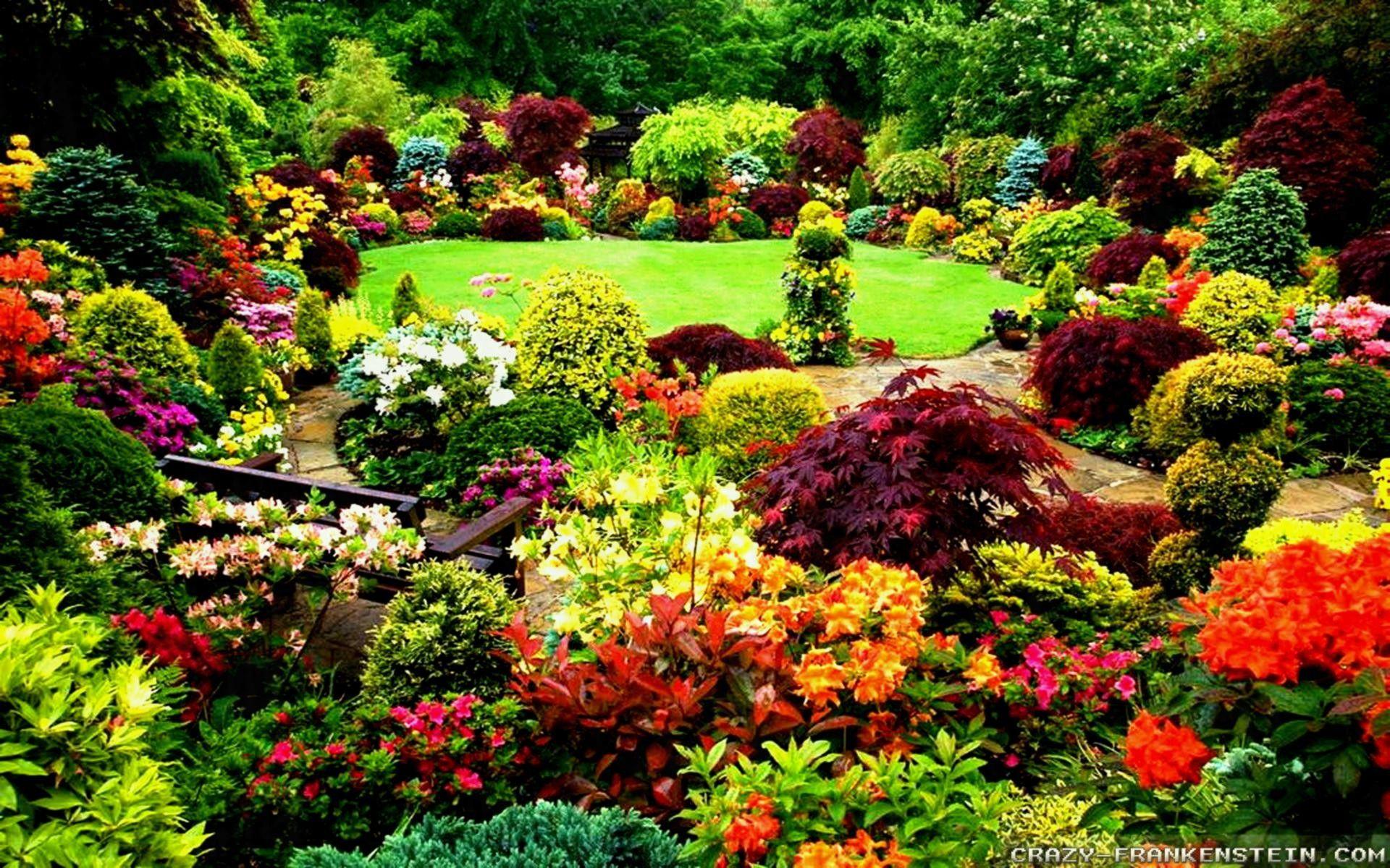 1920x1200 Flower Garden Wallpaper
