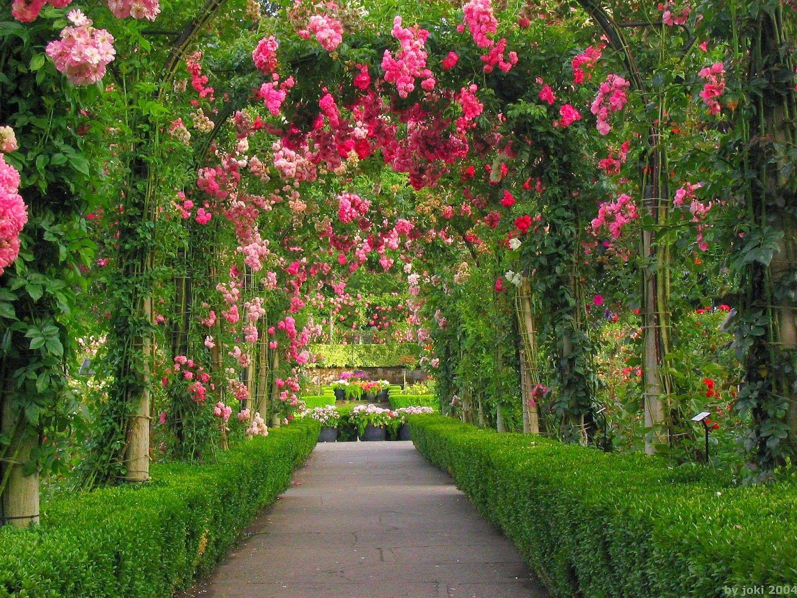 1600x1200 flowers garden .