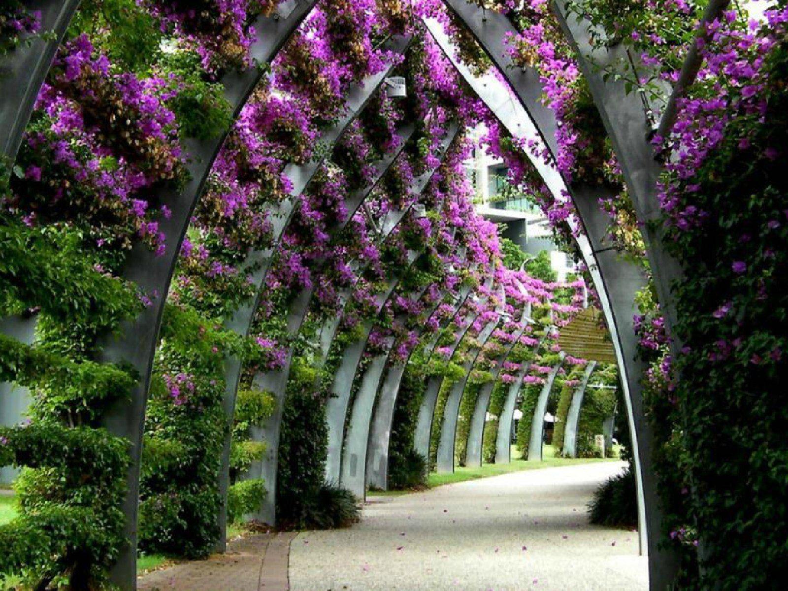 1600x1200 Garden Beautiful Nature Wallpaper Flowers