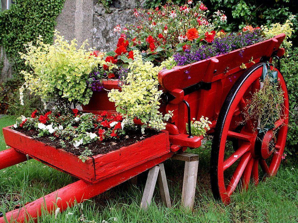 1024x768 beautiful garden wallpaper funmag flower garden HD photo enid