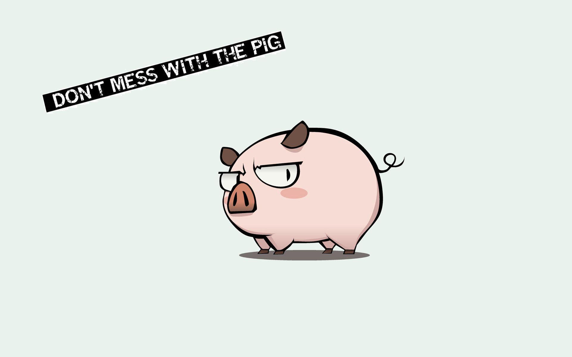 1920x1200 Pig Screensaver Wallpaper