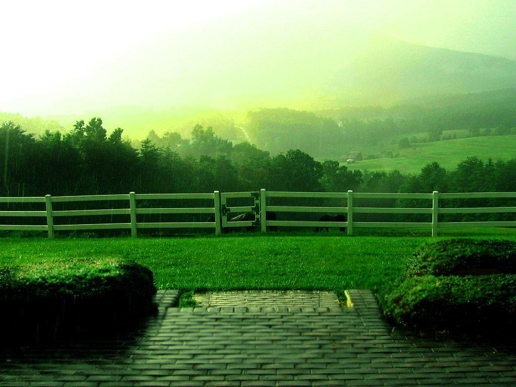 1024x768 Raining Wallpaper Downloads