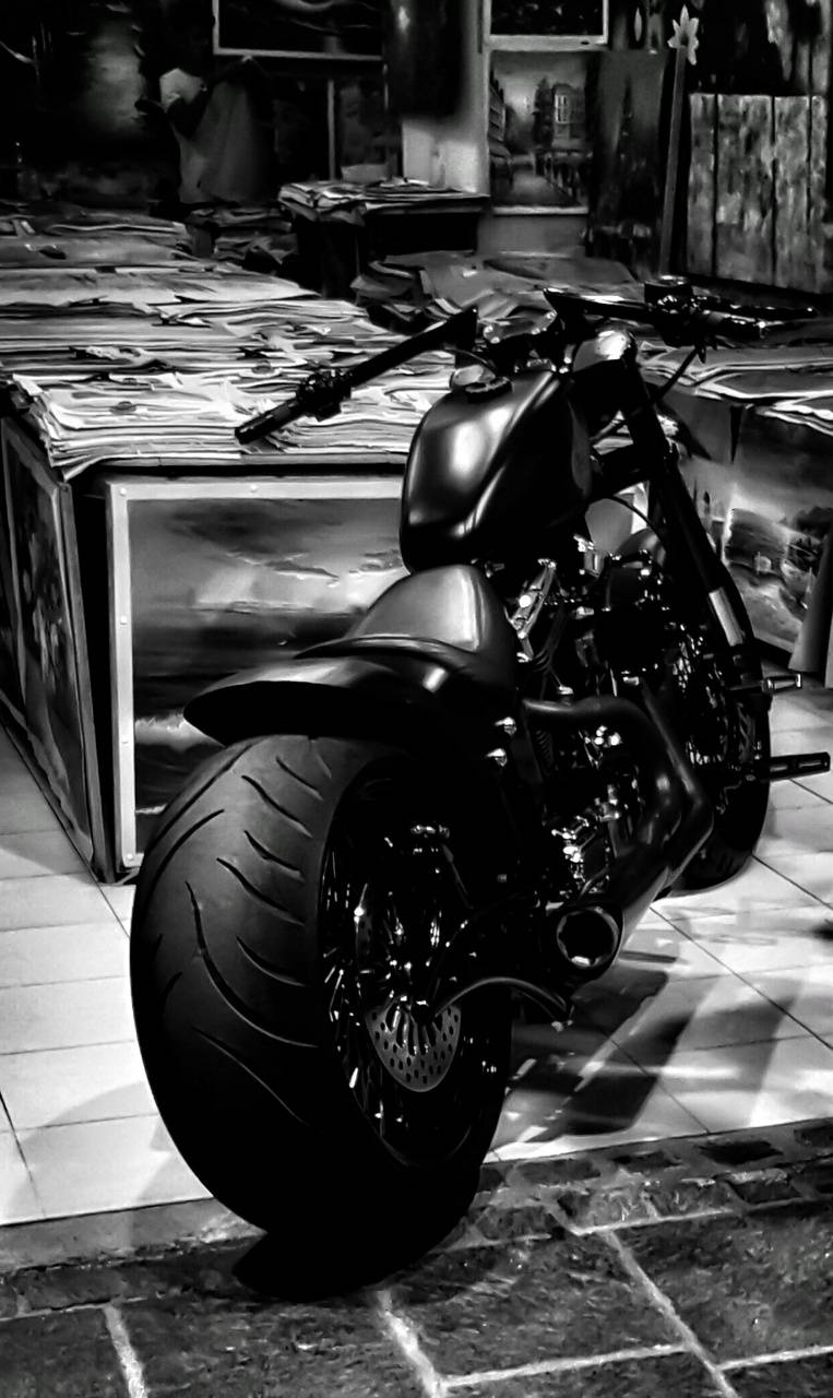 763x1280 Harley Davidson Wallpaper