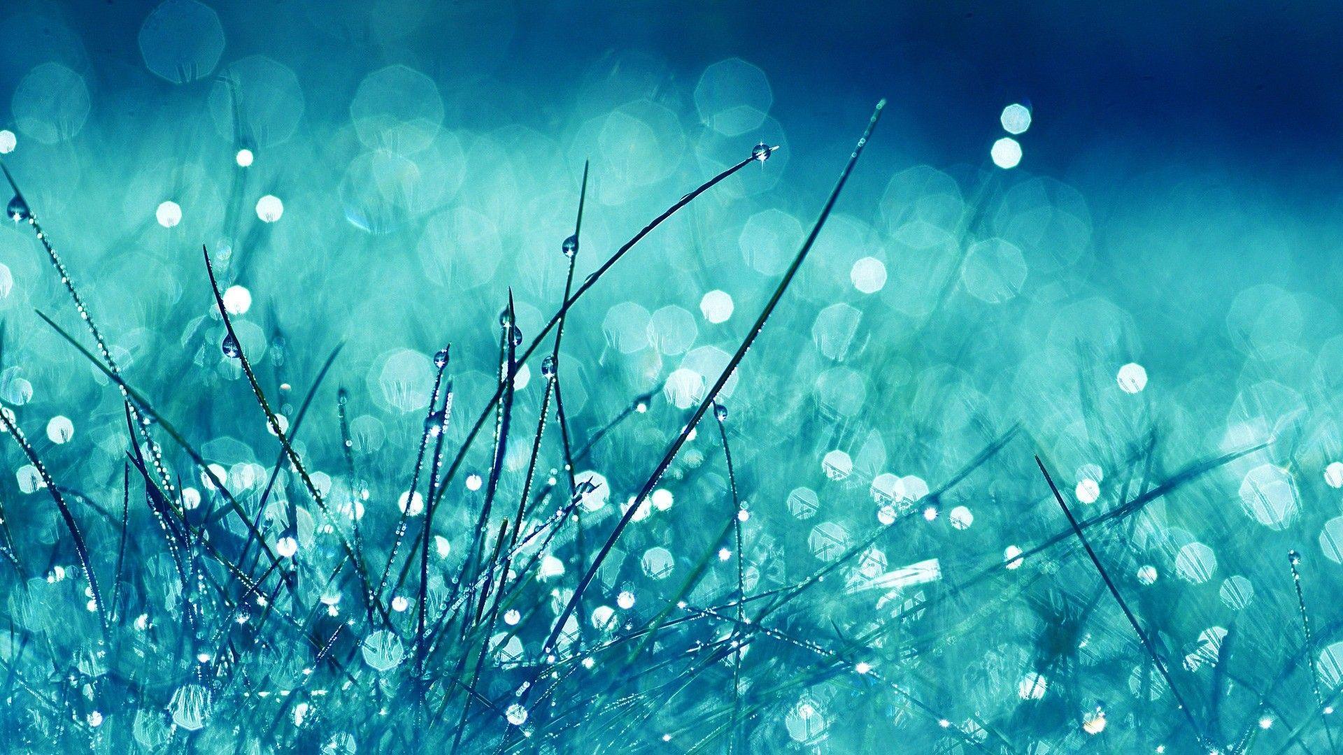 1920x1080 Bright Wallpaper