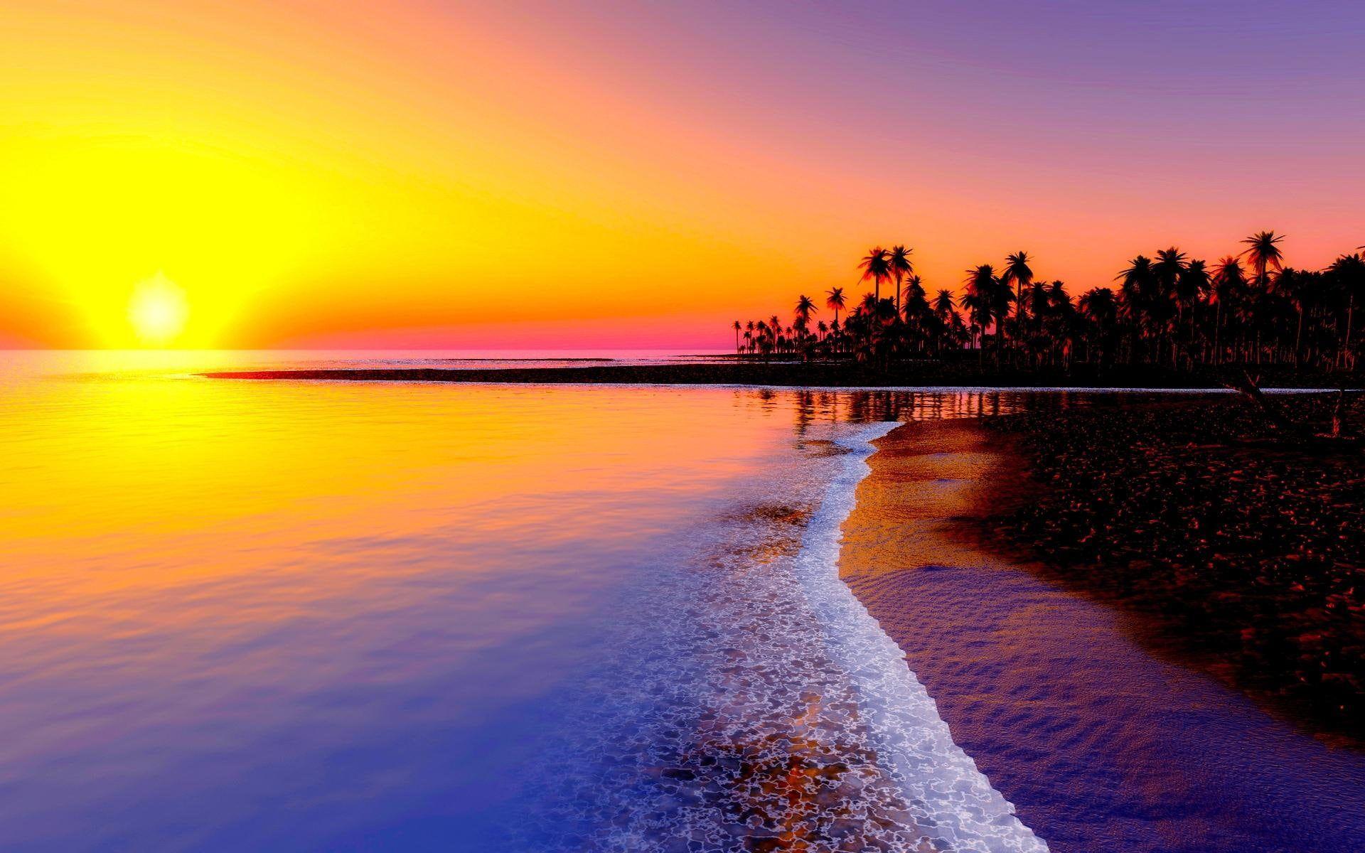 1920x1200 Romantic Beach Tropical Landscapes Sunset Sun Palms Sea Wallpaper