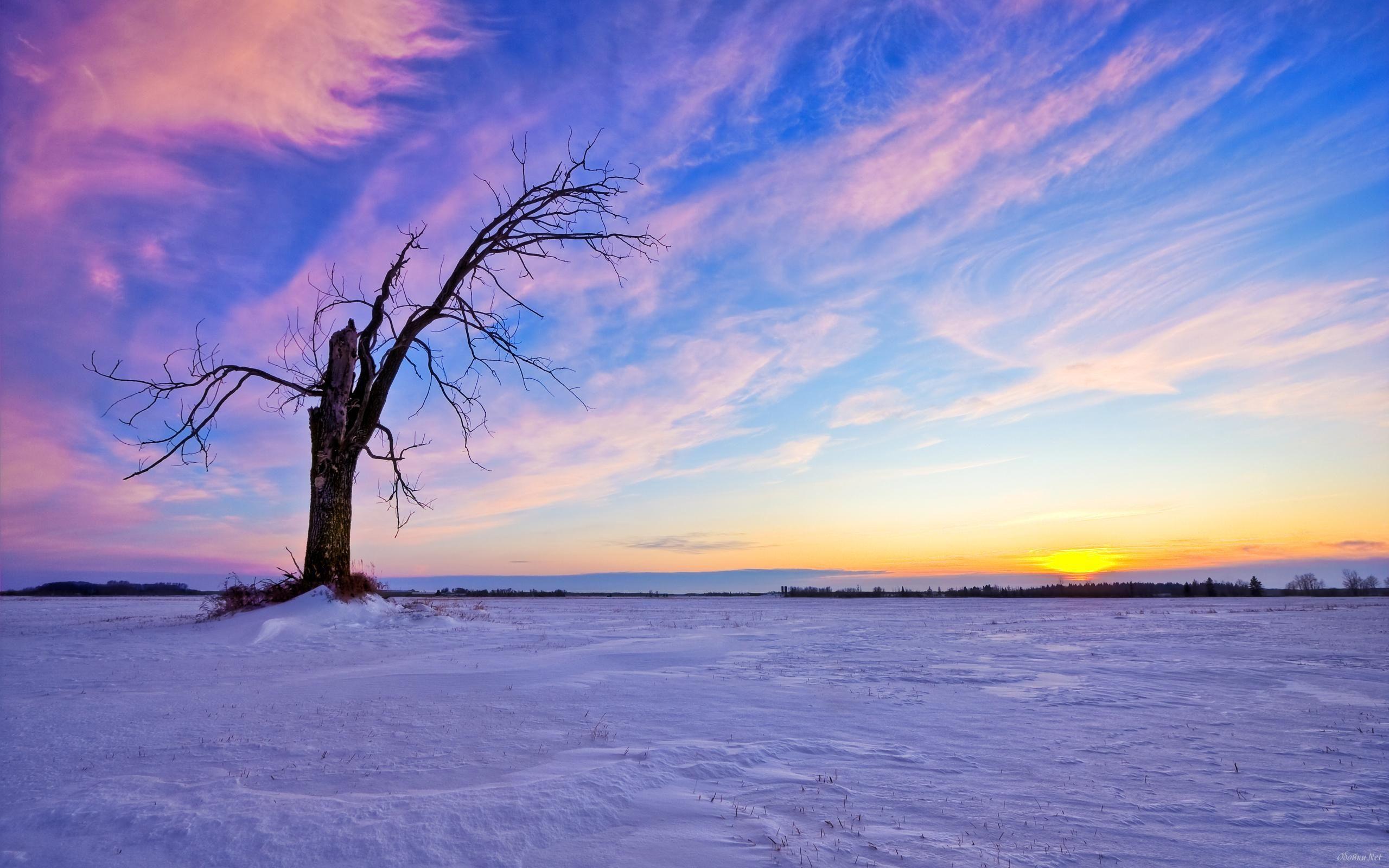 2560x1600 Free download Bright sunset HD Desktop Wallpaper HD Desktop