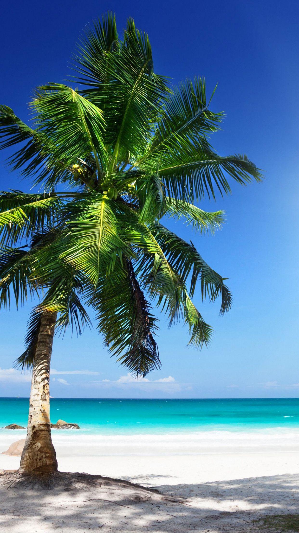 1242x2208 Sunny beach, iPhone, Desktop HD Background