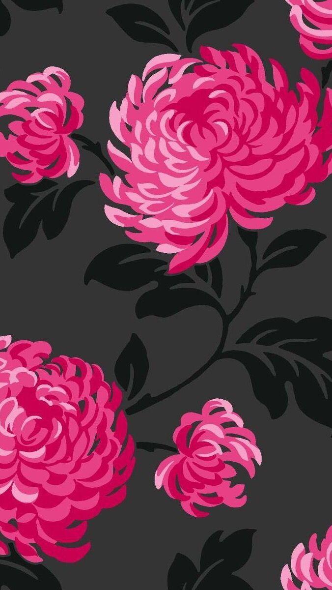 676x1200 Hoa fuschia màu hồng đen.  Hình nền hoa hồng, Hình nền hoa, Hình nền hoa
