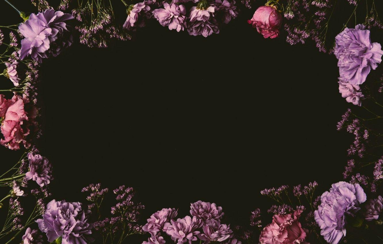 Black and Pink Floral Wallpapers - Top Free Black and Pink Floral ...