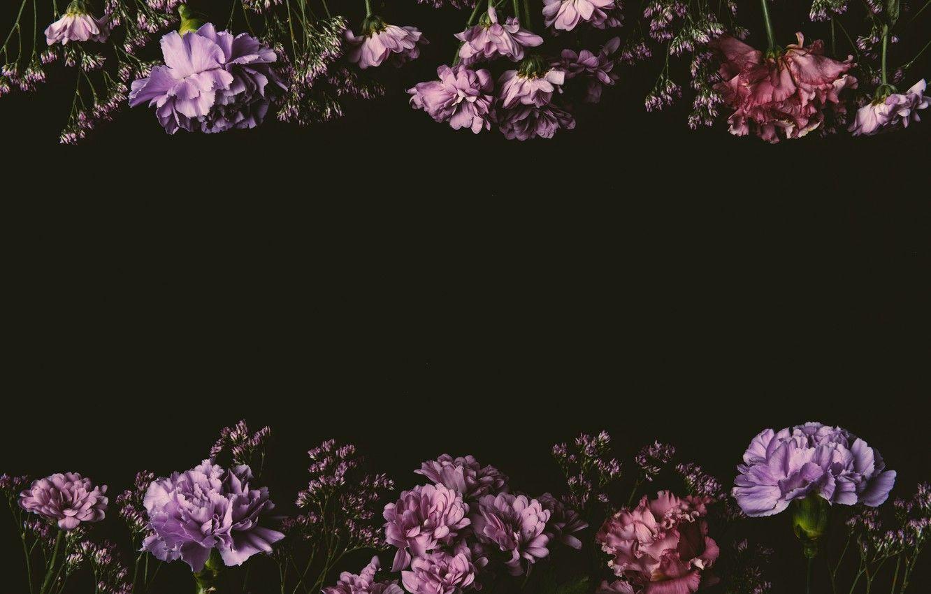 Black and Pink Floral Wallpapers - Top Free Black and Pink Floral ...