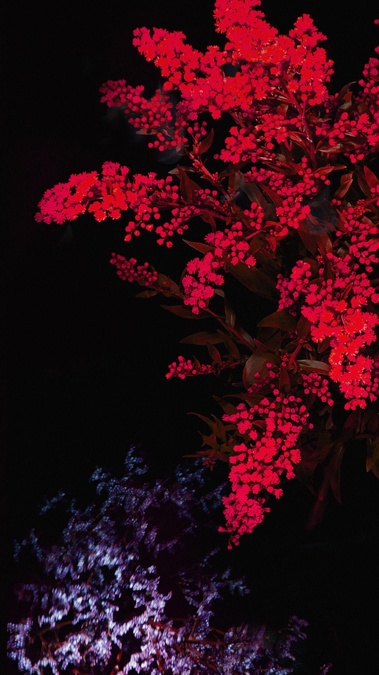1242x2208 Apple Red Flower Dark Ios9 Iphone6s