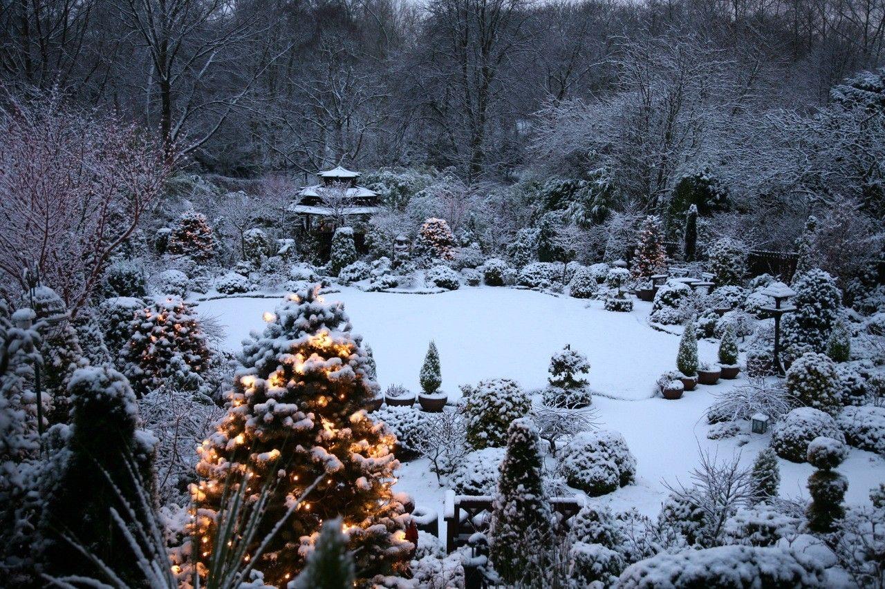 Winter Japanese Garden Wallpapers Top Free Winter Japanese