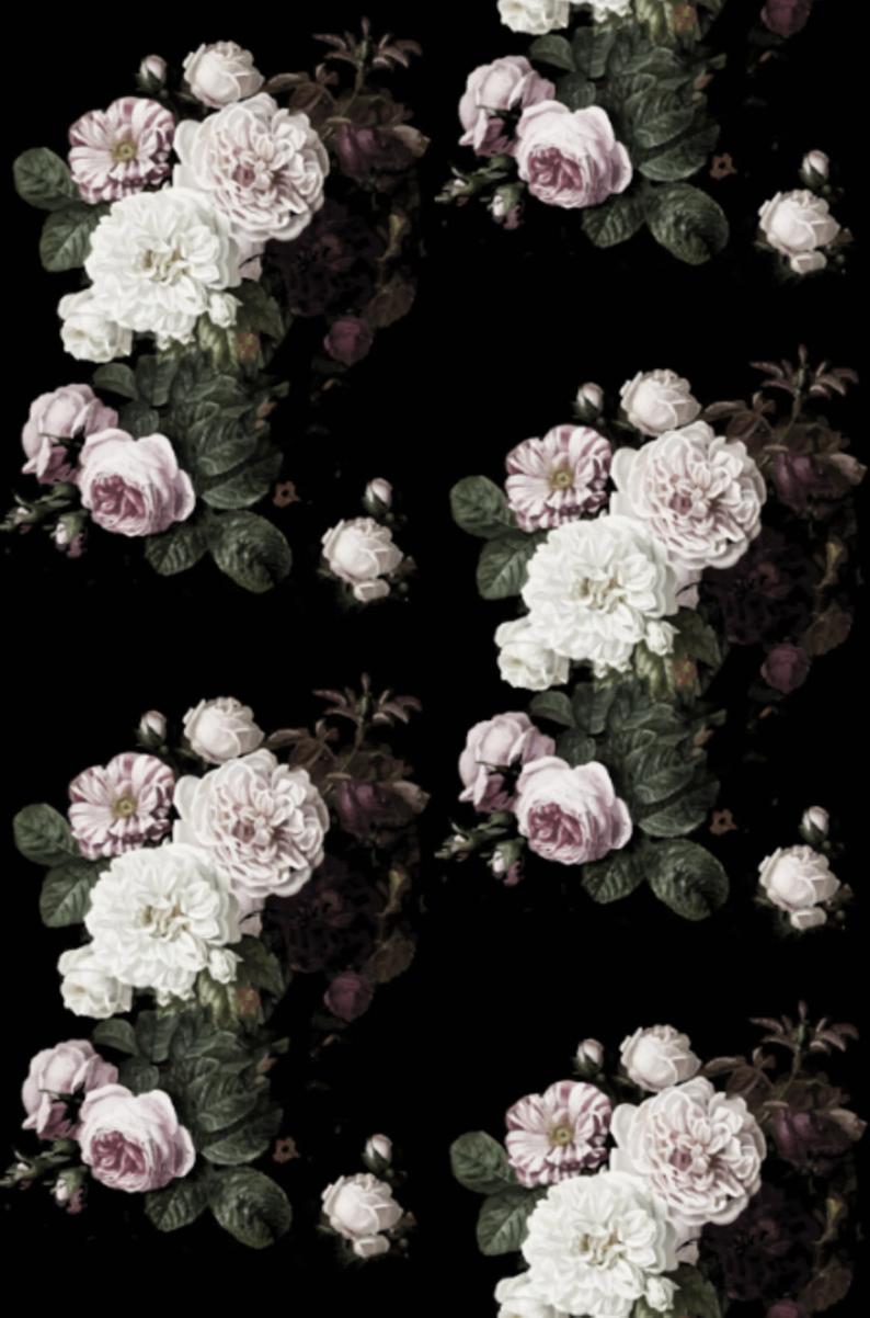 Black and Pink Floral Wallpapers - Top Free Black and Pink Floral