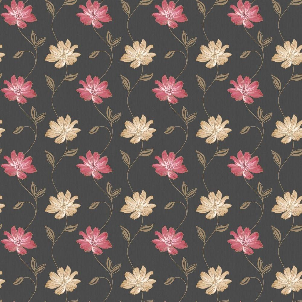 Black and Pink Floral Wallpapers Top Free Black and Pink Floral