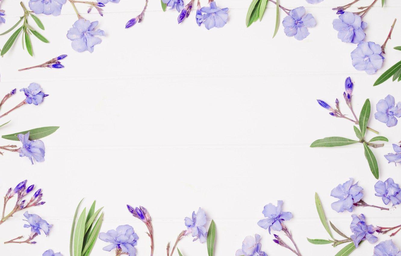 1332x850 Wallpaper flowers, background, frame, purple, flowers, violet