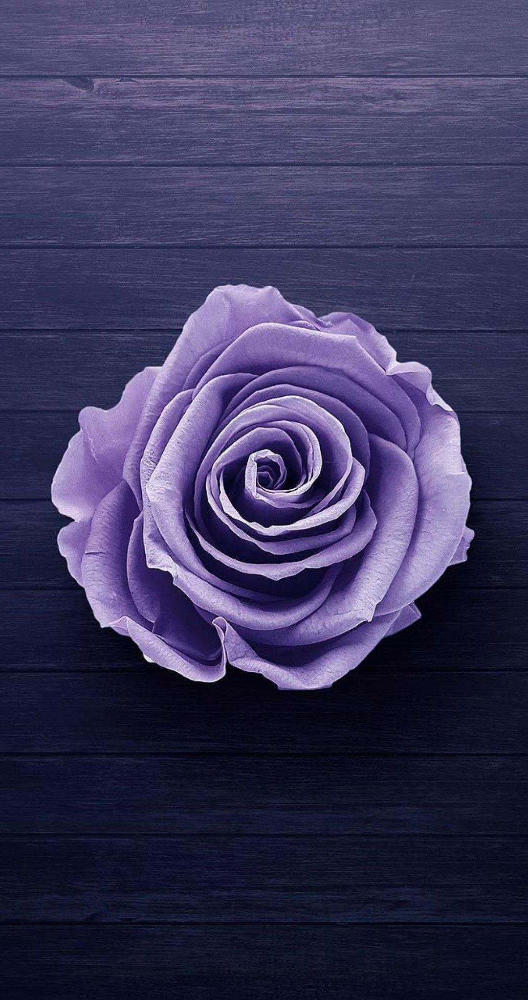 1080x2044 Purple. Cute patterns wallpaper