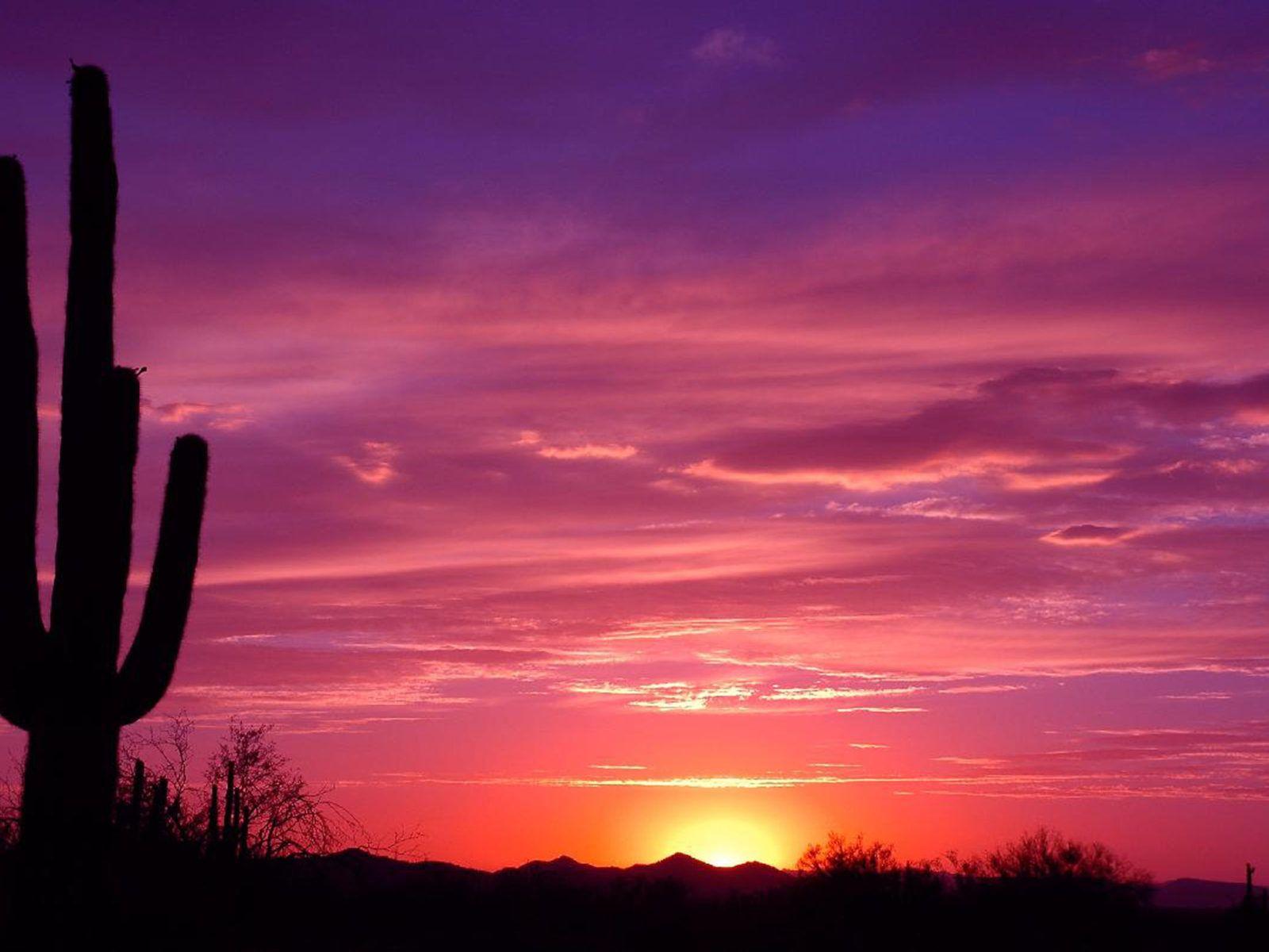 1600x1200 Landscape Arizona Sunset Desert Area Orange Sun Red Sky Clouds