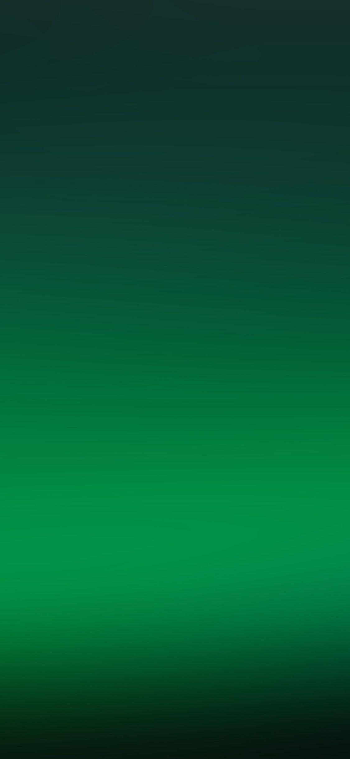 1125x2436 Clear Green Soft Glow Gradation Blur Wallpaper
