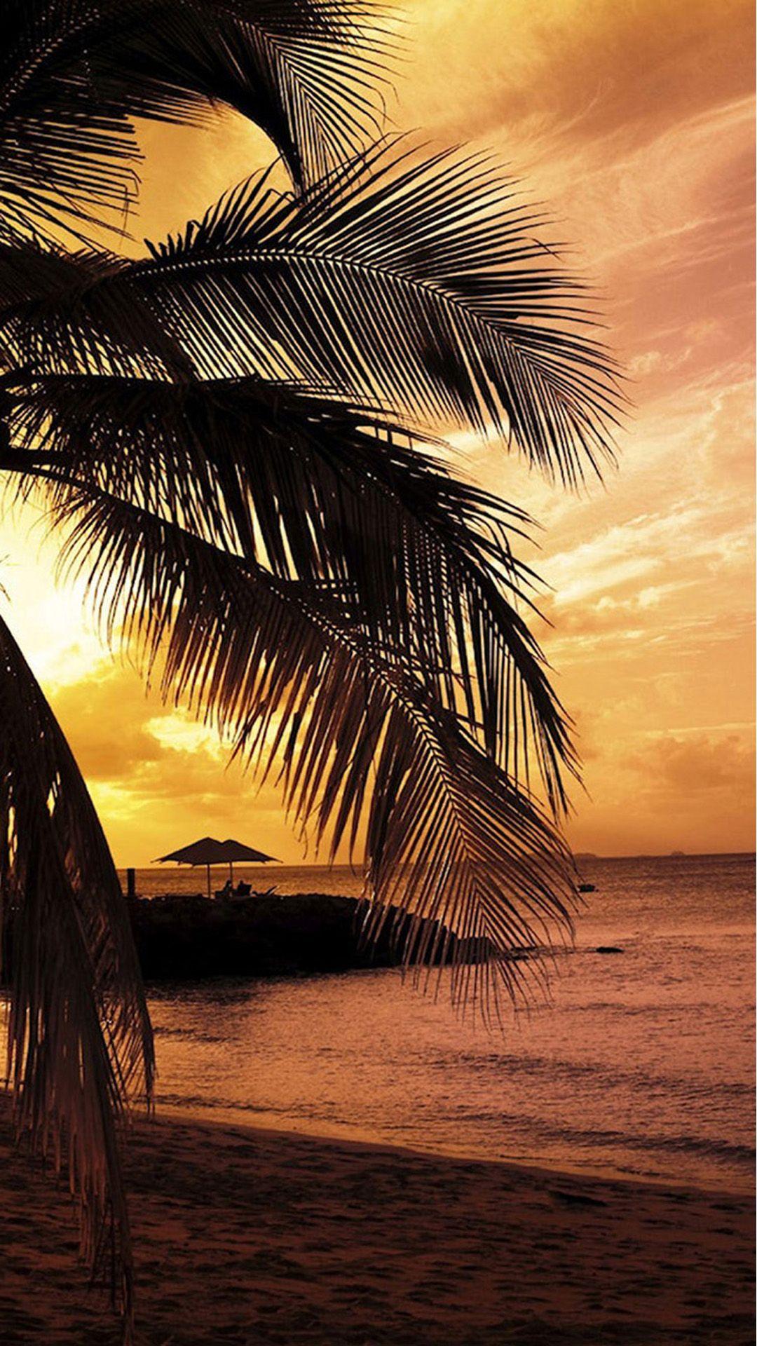 1080x1920 Beach Palm Trees Android wallpaper HD wallpaper