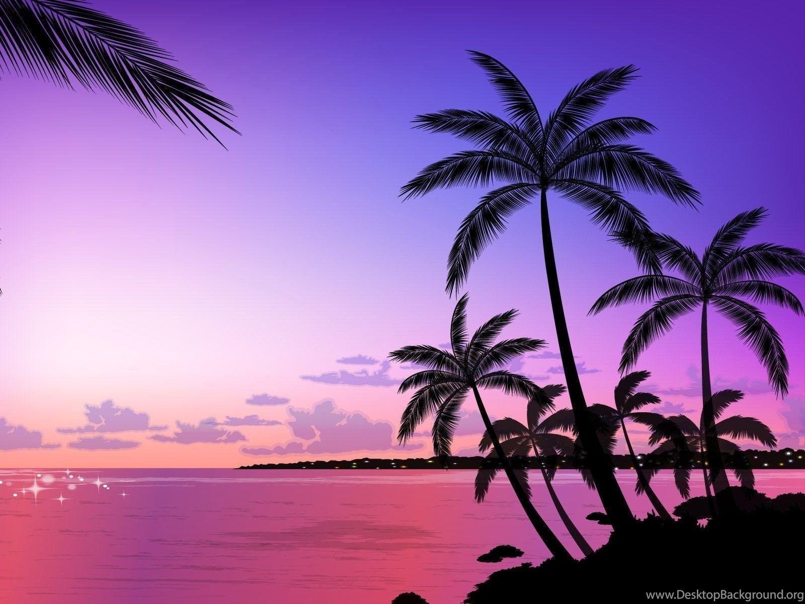 1600x1200 Palm Tree HD Wallpaper, Palm Tree Background, New Wallpaper Desktop Background