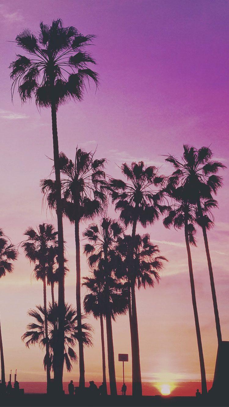 750x1334 Wallpaper Palm Tree