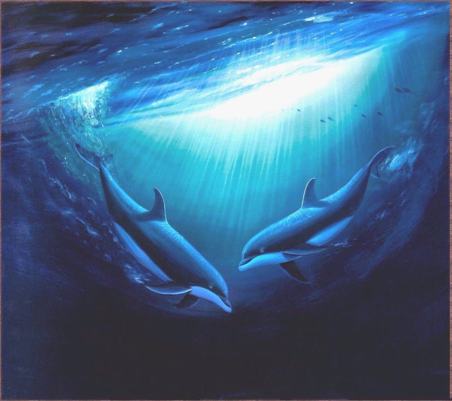 1440x1280 Seaworld wallpaper