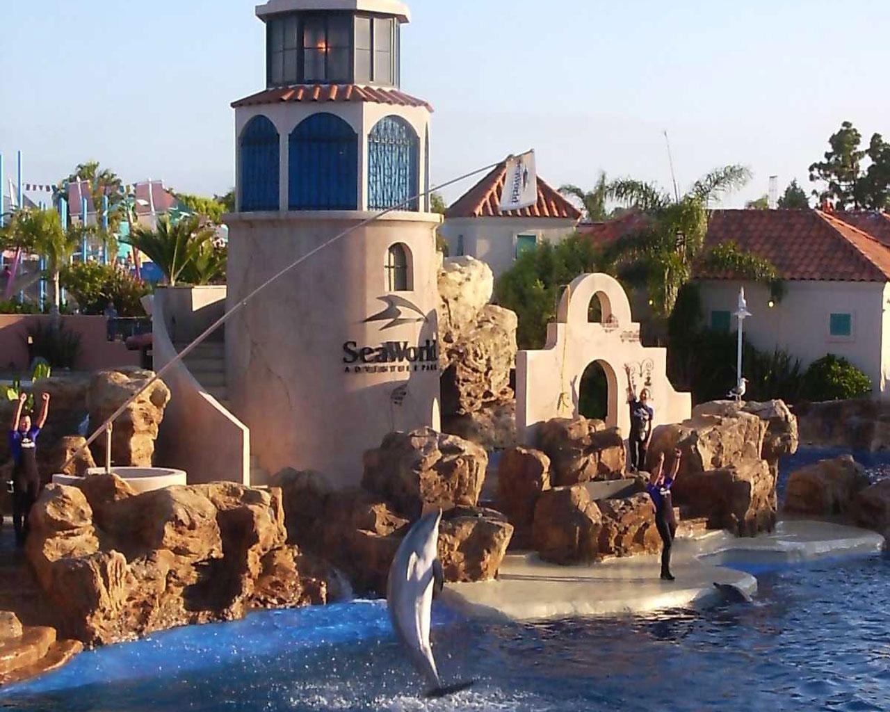 1280x1024 Seaworld Wallpaper