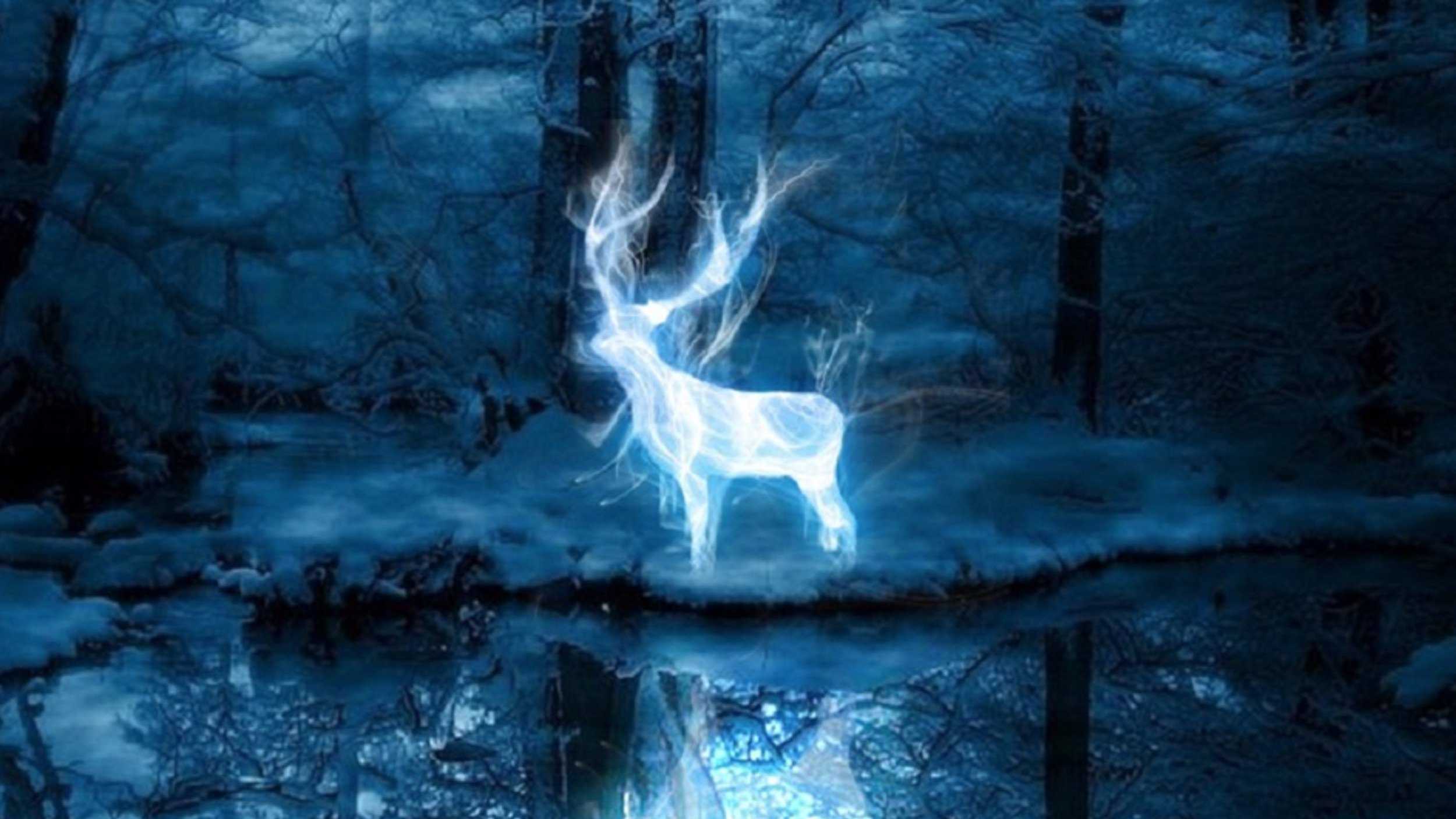 2500x1407 Pottermore Now Lets You Discover Your Patronus