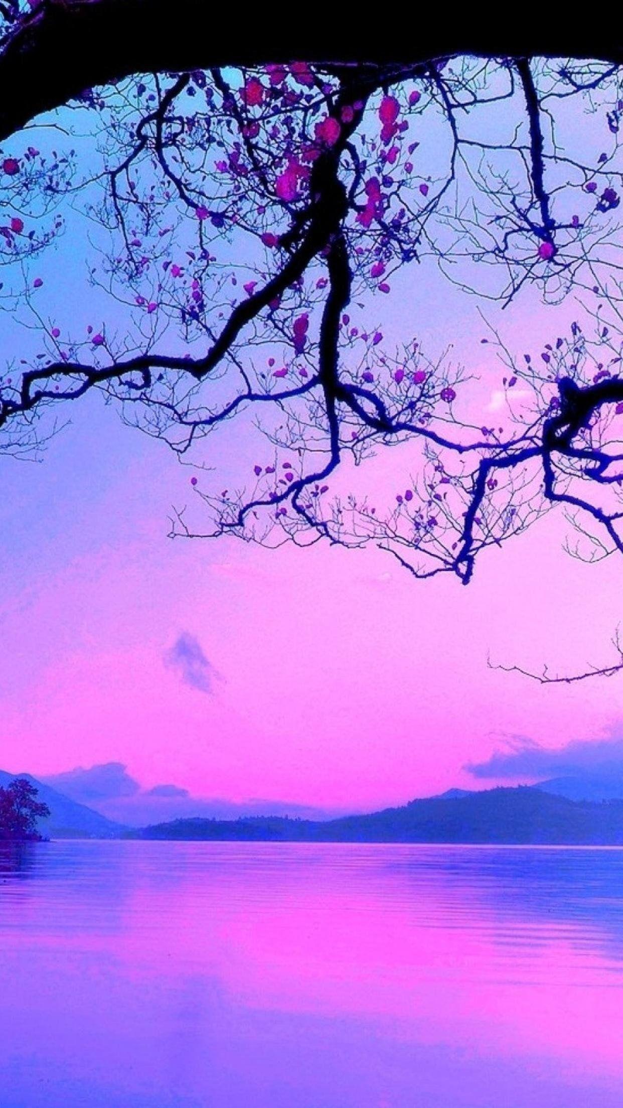 Purple Beach Sunset Wallpapers - Top Free Purple Beach Sunset ...