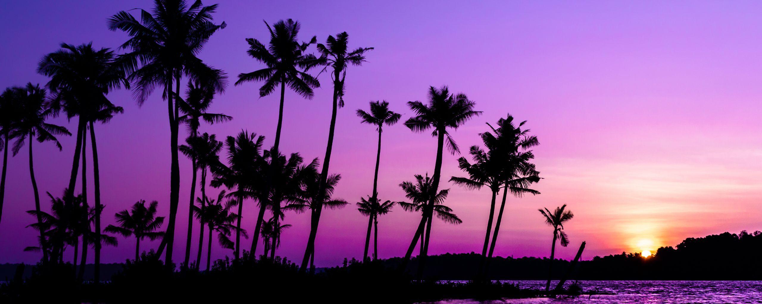 2560x1024 Download wallpaper 2560x1024 palm trees, silhouette, sunset