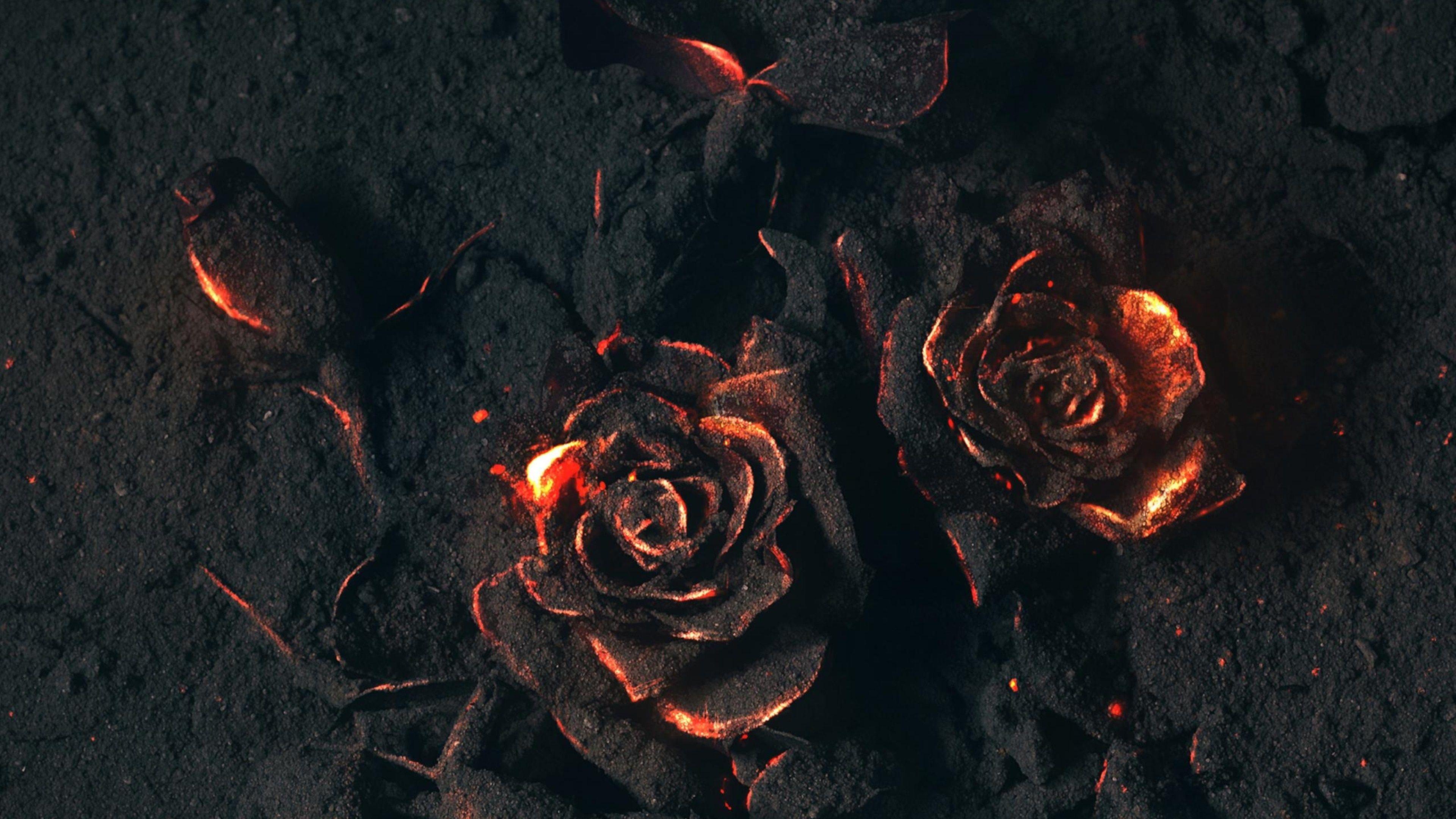 Aesthetic Burning Rose Wallpaper Download  MobCup
