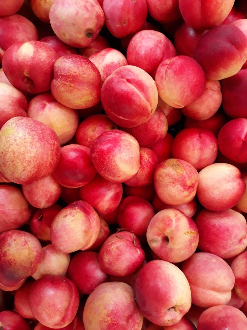 1000x1333 shallow focus photo of red apple fruits photo