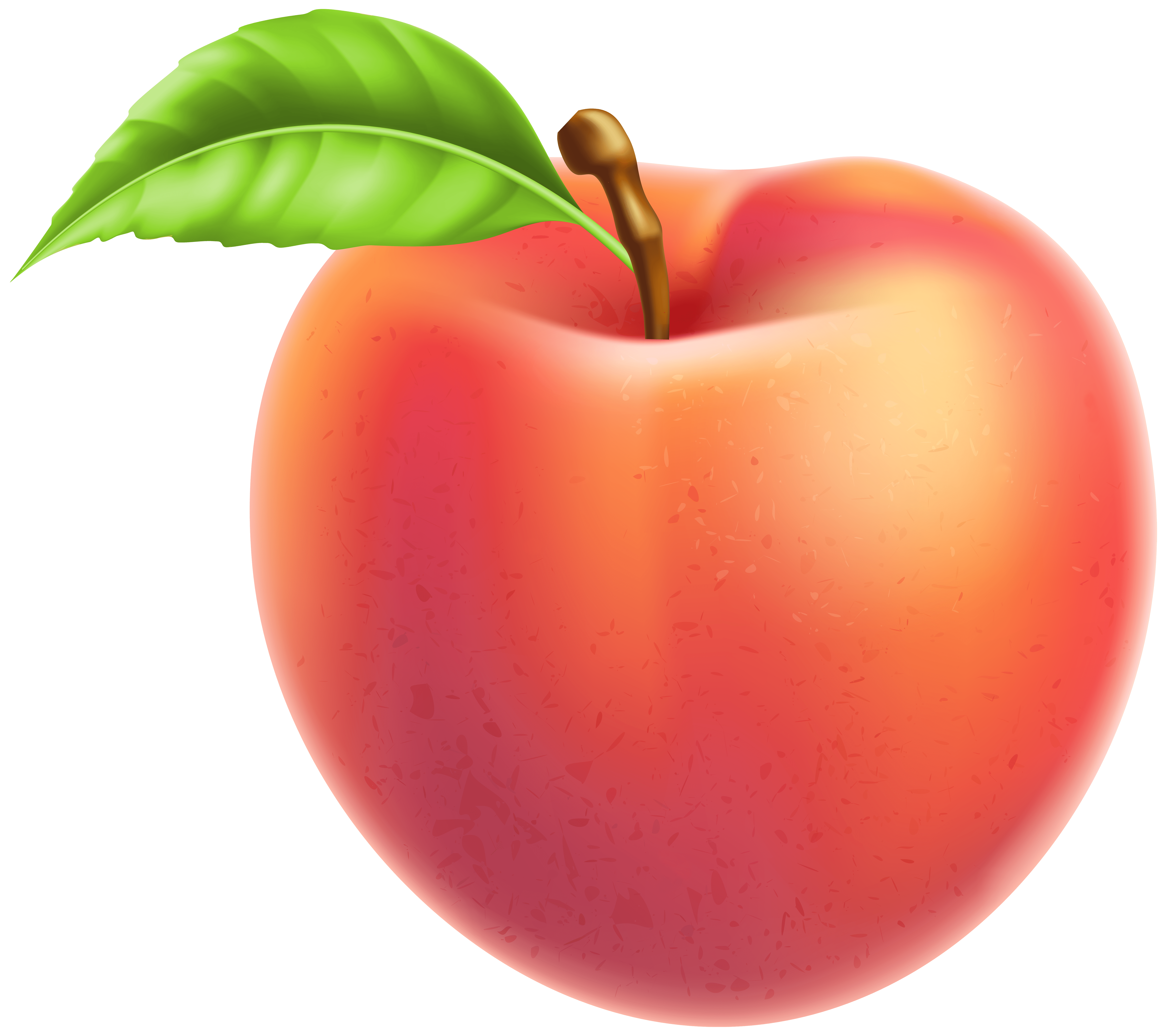 6000x5328 Peach Fruit PNG Clipart Quality
