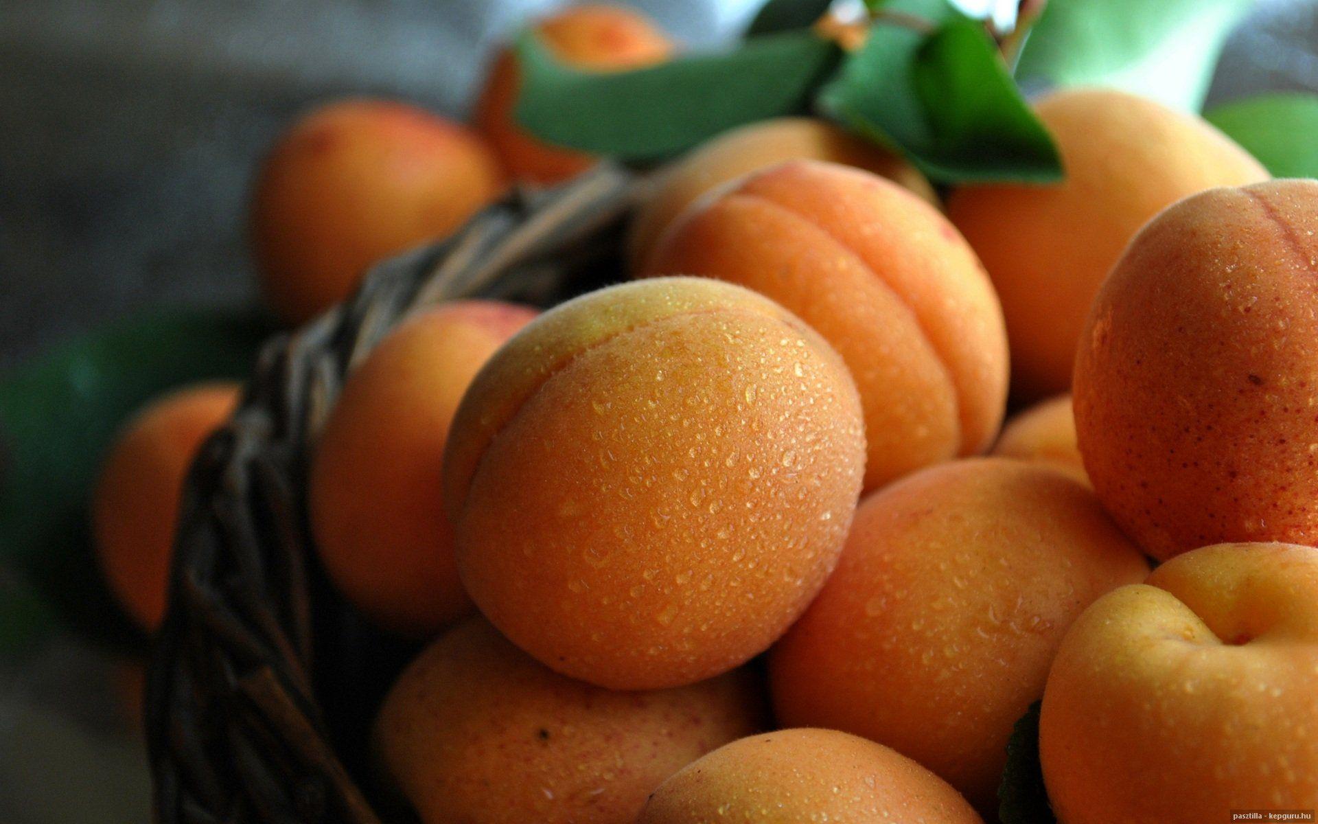1920x1200 Peach fruit summer water drops d wallpaperx1200